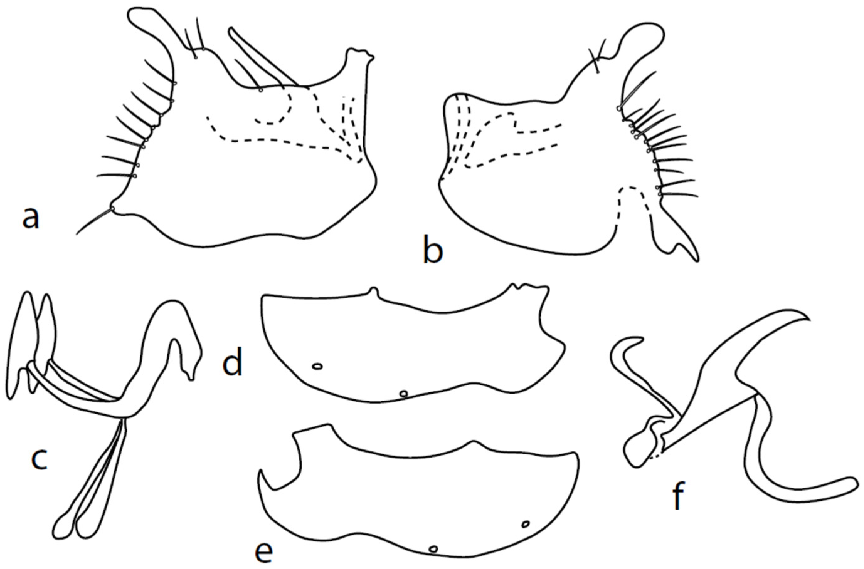 Insects 13 00700 g004 550