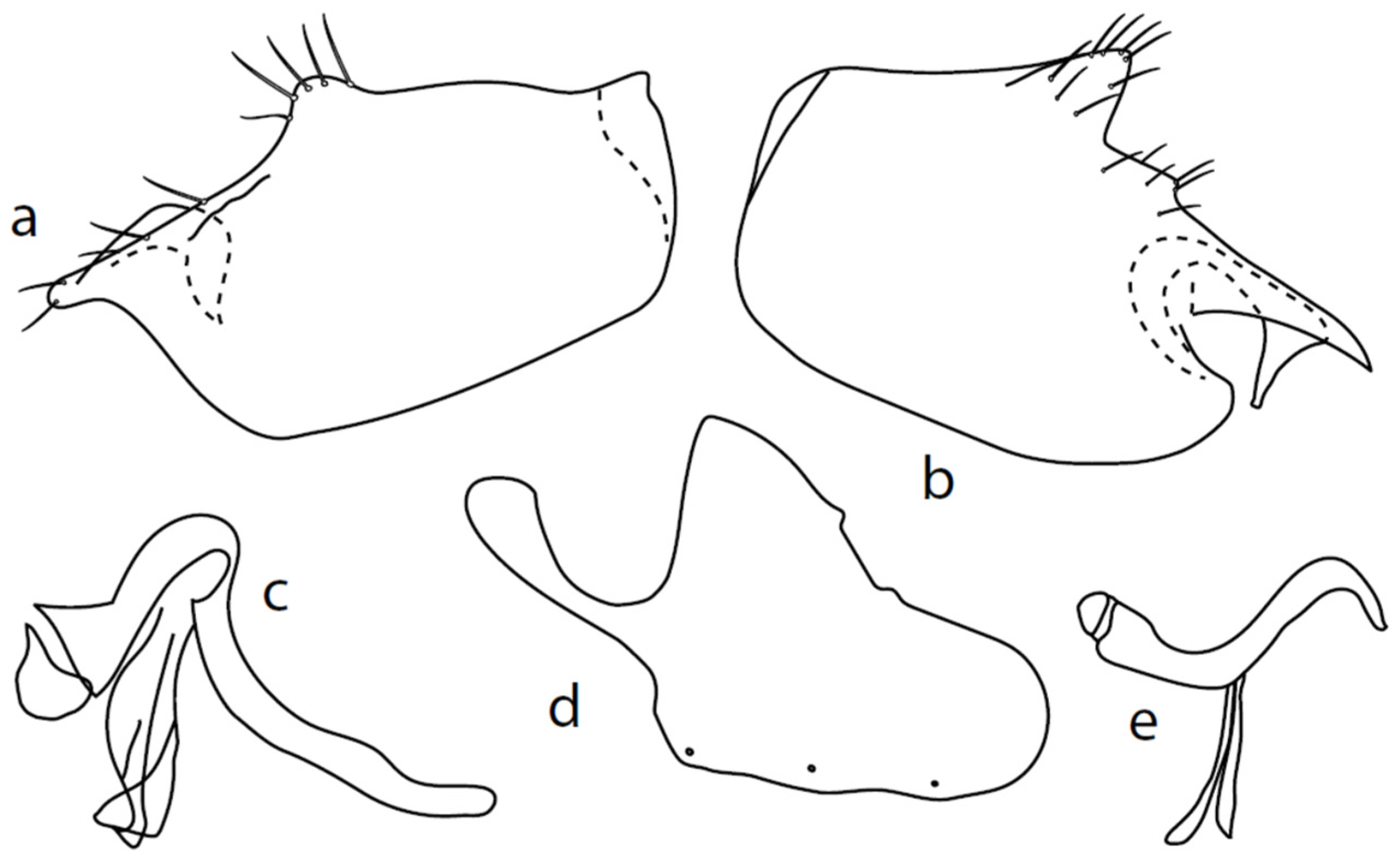 Insects 13 00700 g005 550