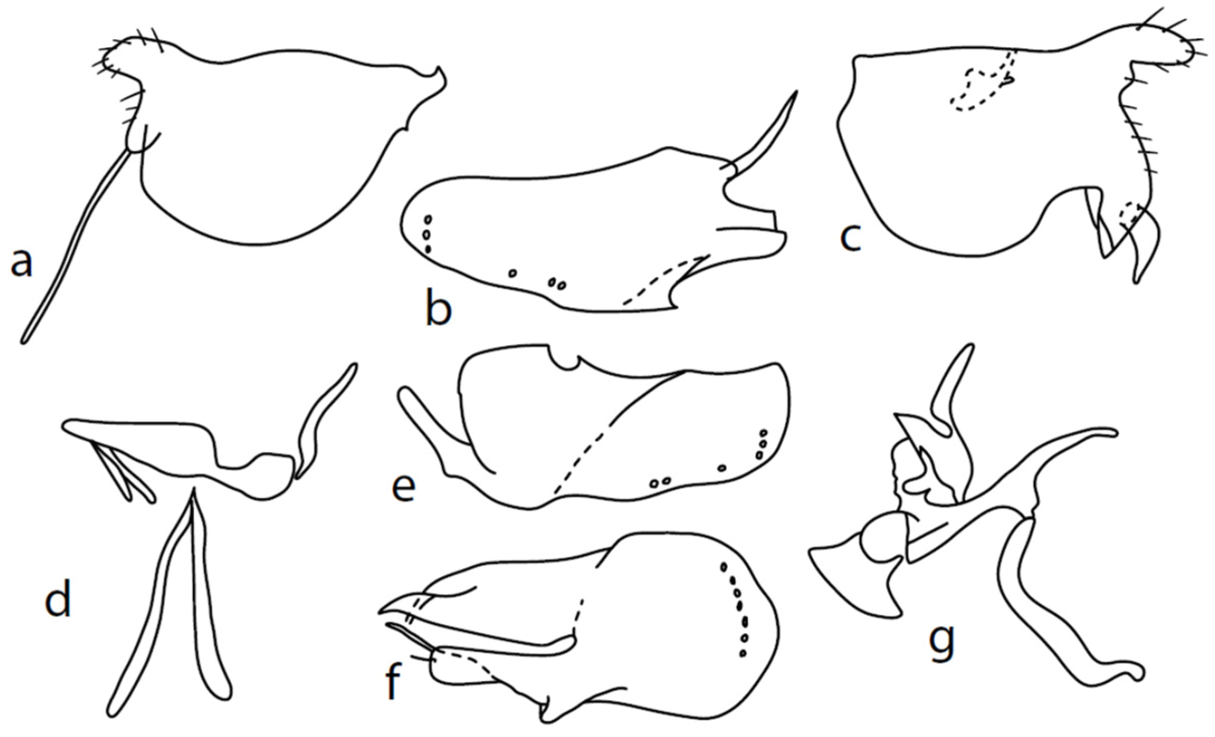 Insects 13 00700 g006 550