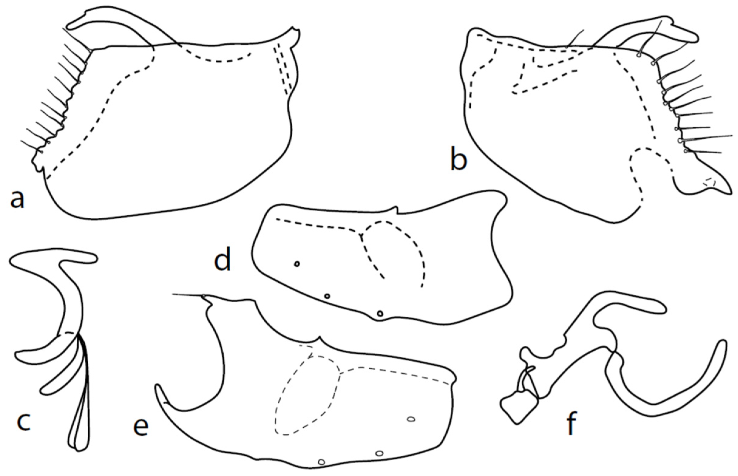 Insects Free FullText Unexpected Previously Unknown Diversity of