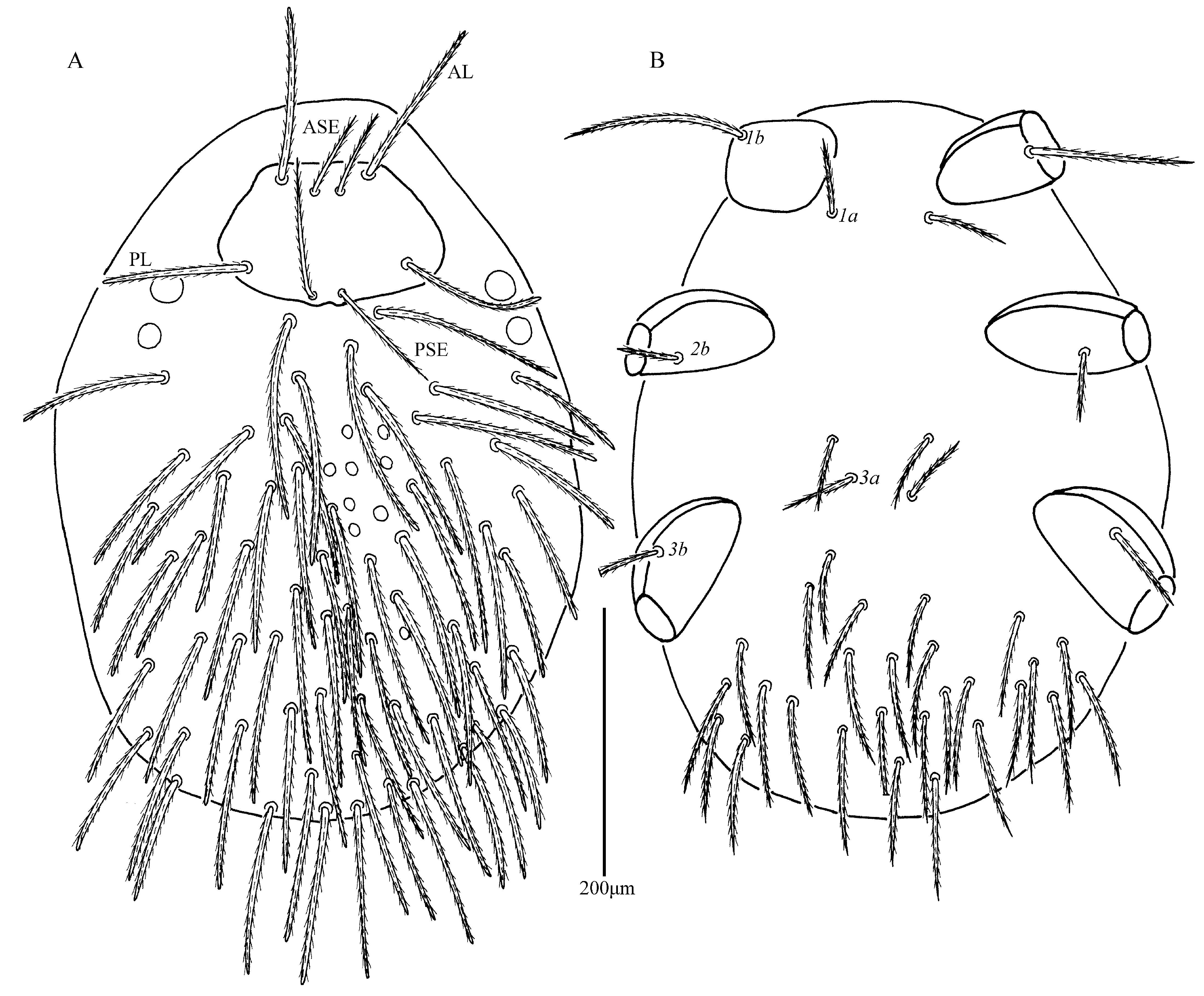 Insects 13 00706 g001 Insects 13 00706 g001