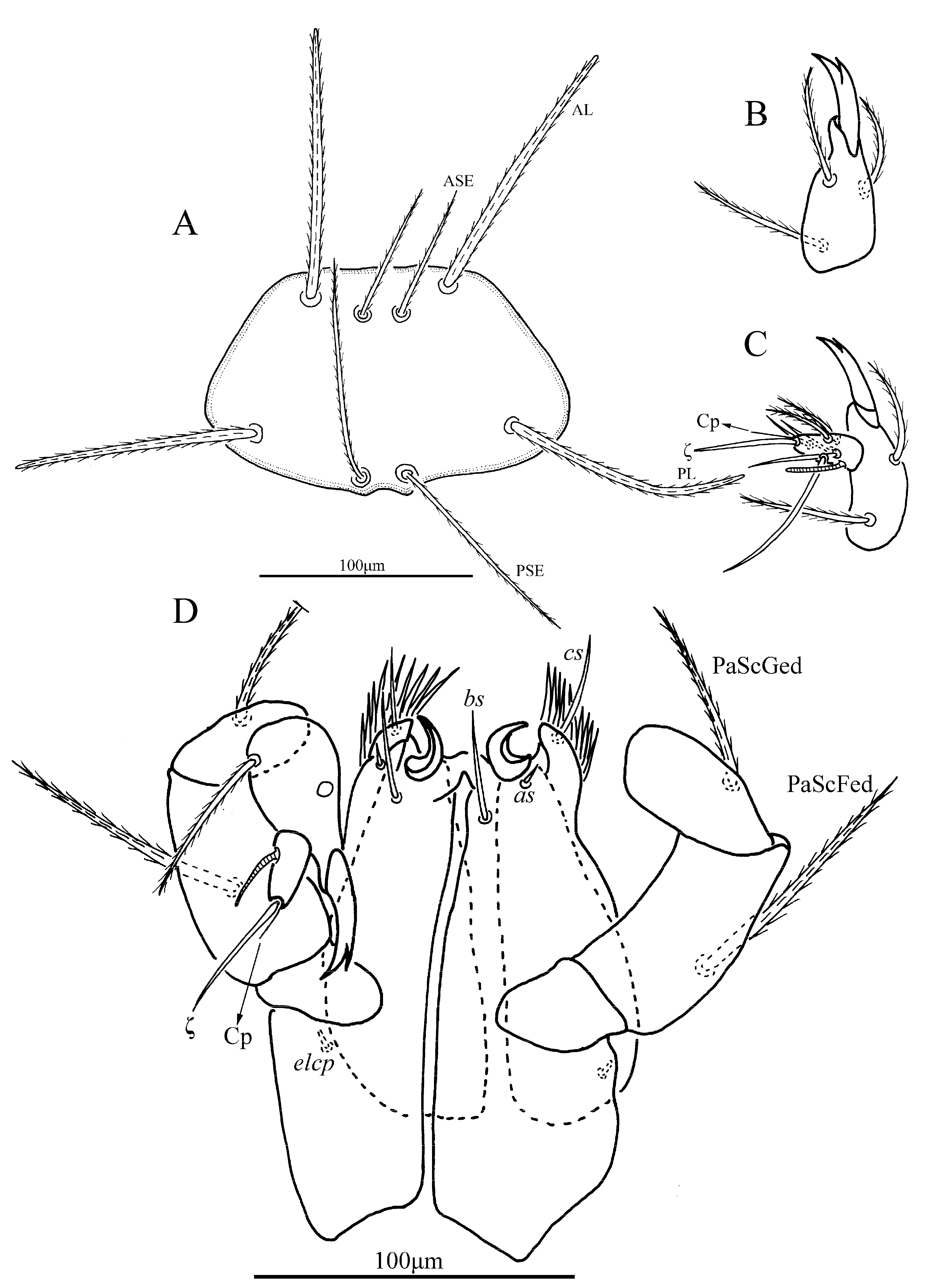 Insects 13 00706 g002 Insects 13 00706 g002