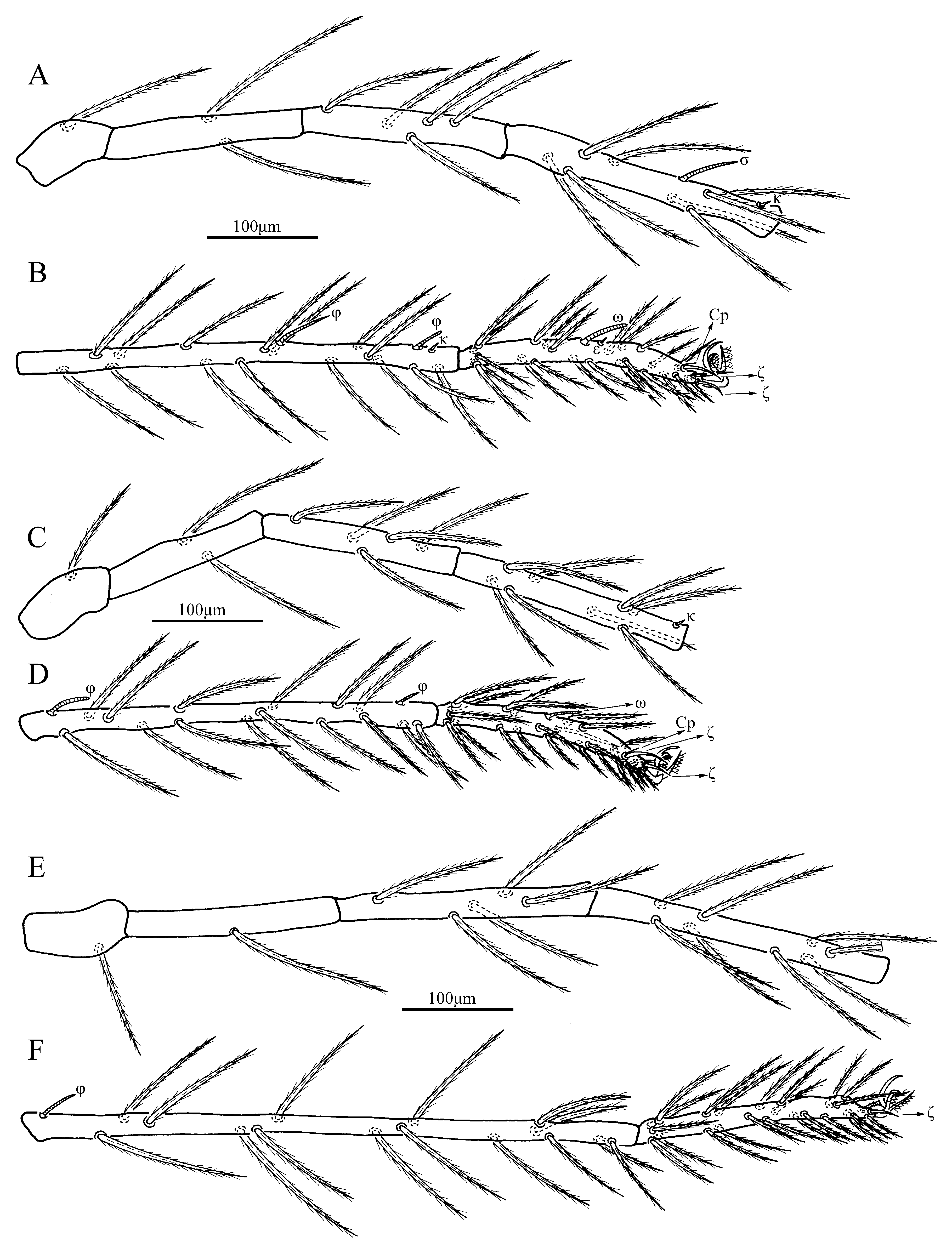 Insects 13 00706 g004 Insects 13 00706 g004