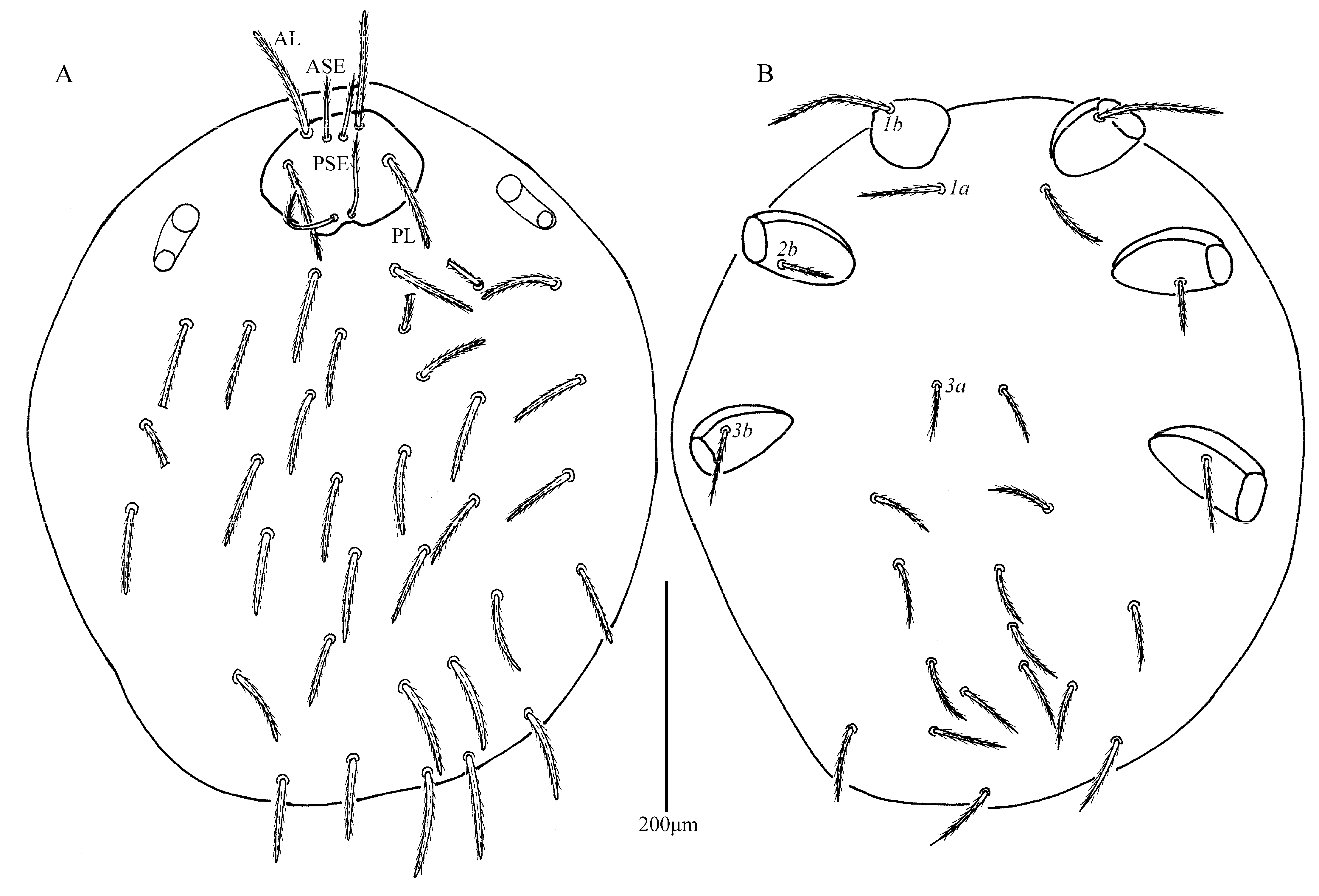 Insects 13 00706 g005 Insects 13 00706 g005