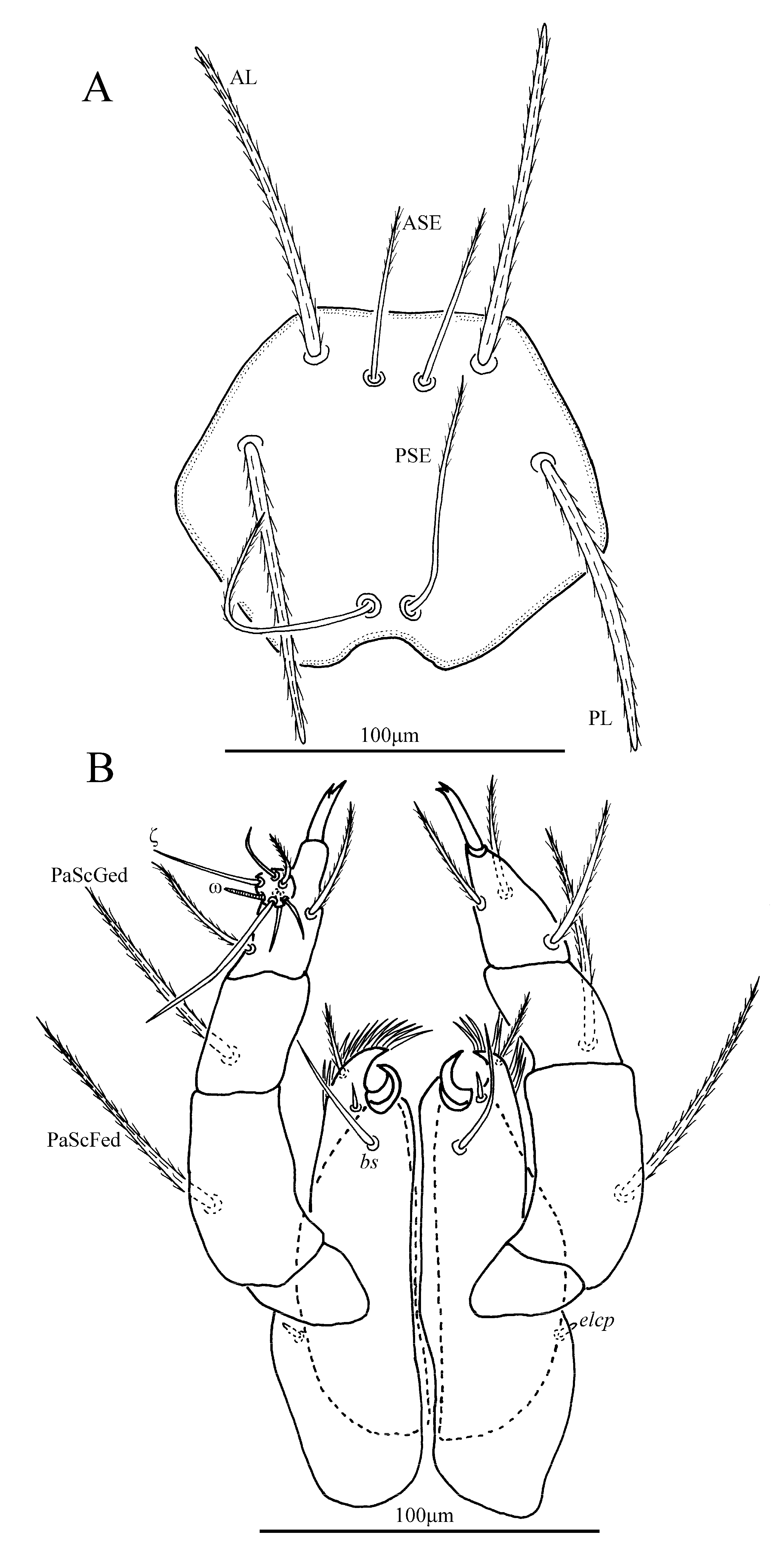 Insects 13 00706 g006 Insects 13 00706 g006