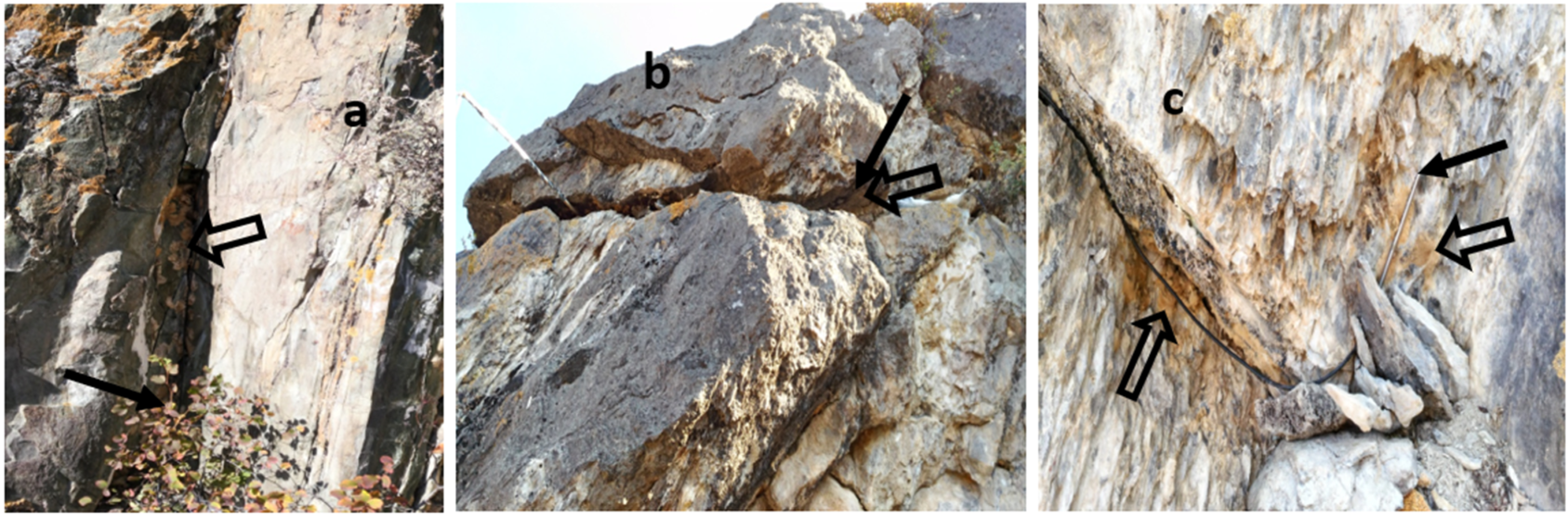 Insects 13 00712 g001