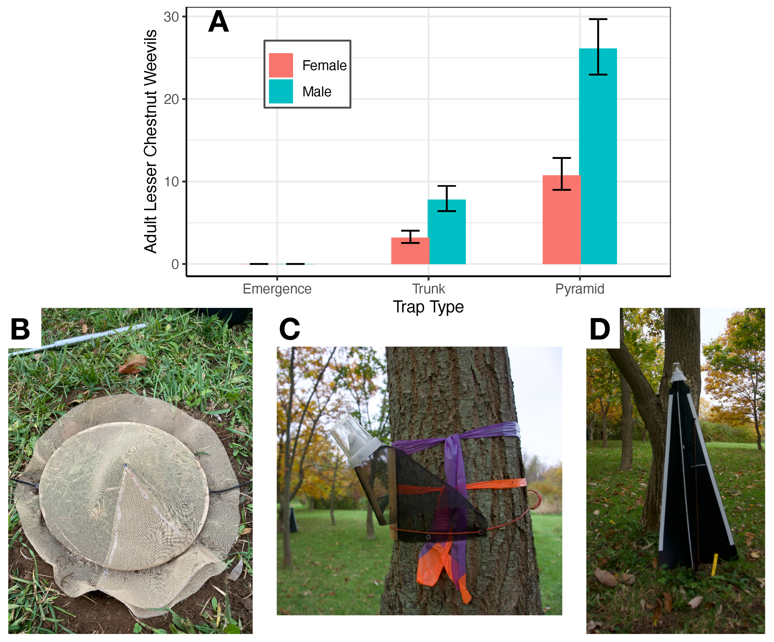 Insects 13 00713 g002