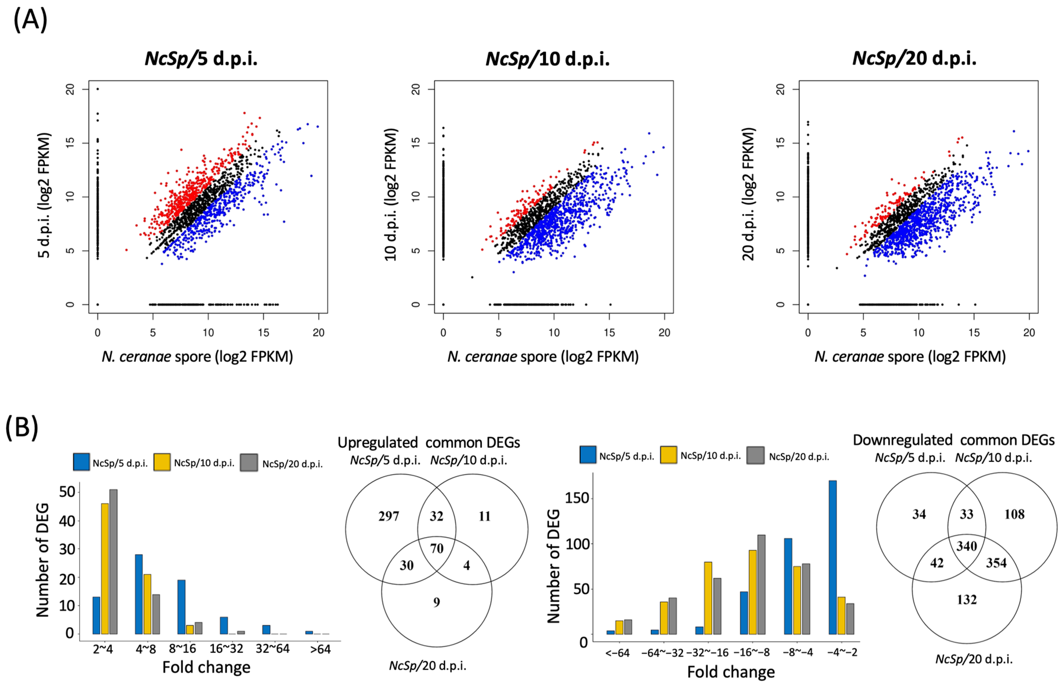 Insects 13 00716 g002 550