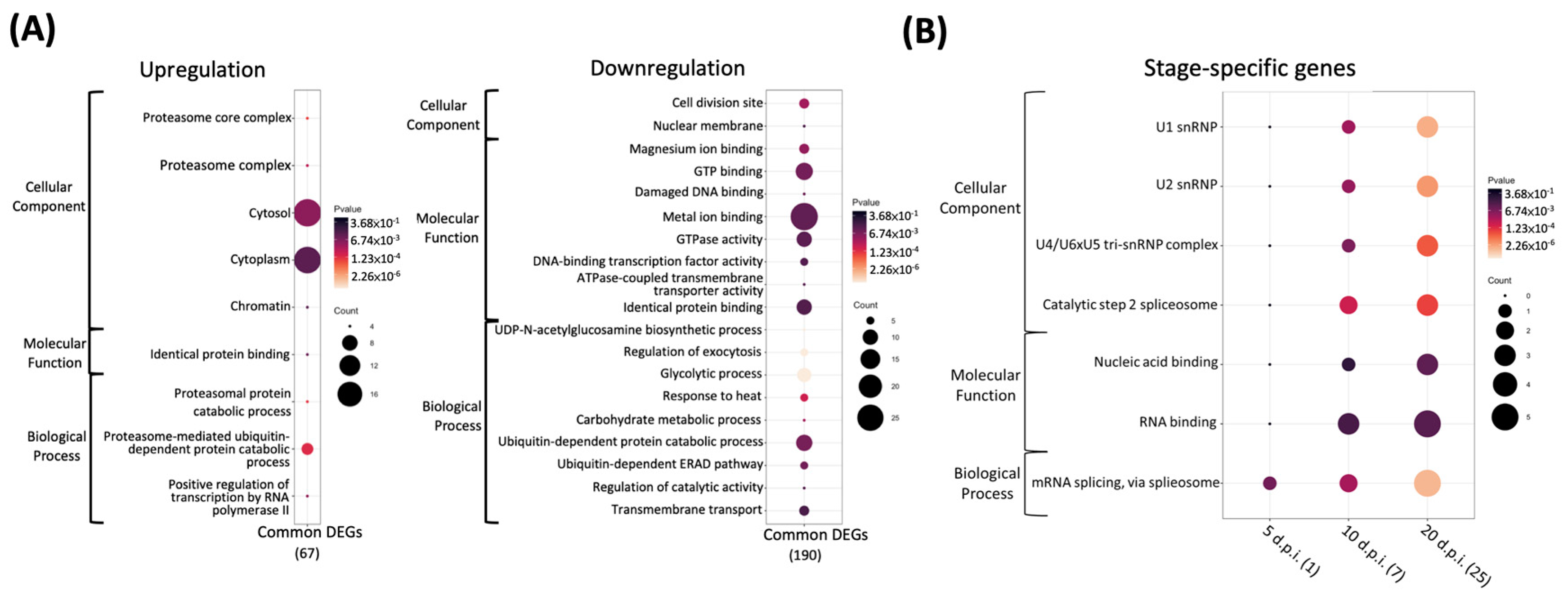 Insects 13 00716 g004 550