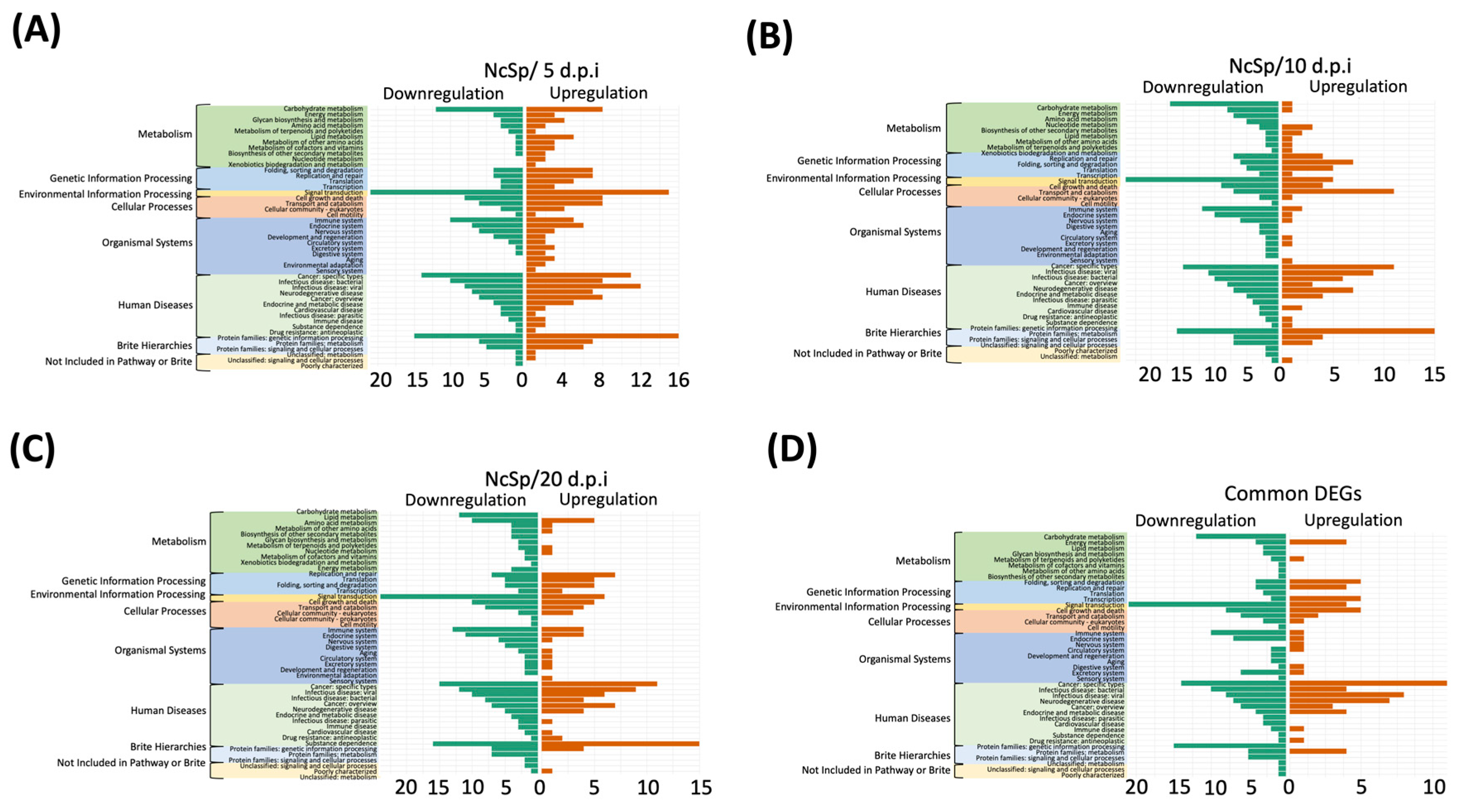 Insects 13 00716 g005 550
