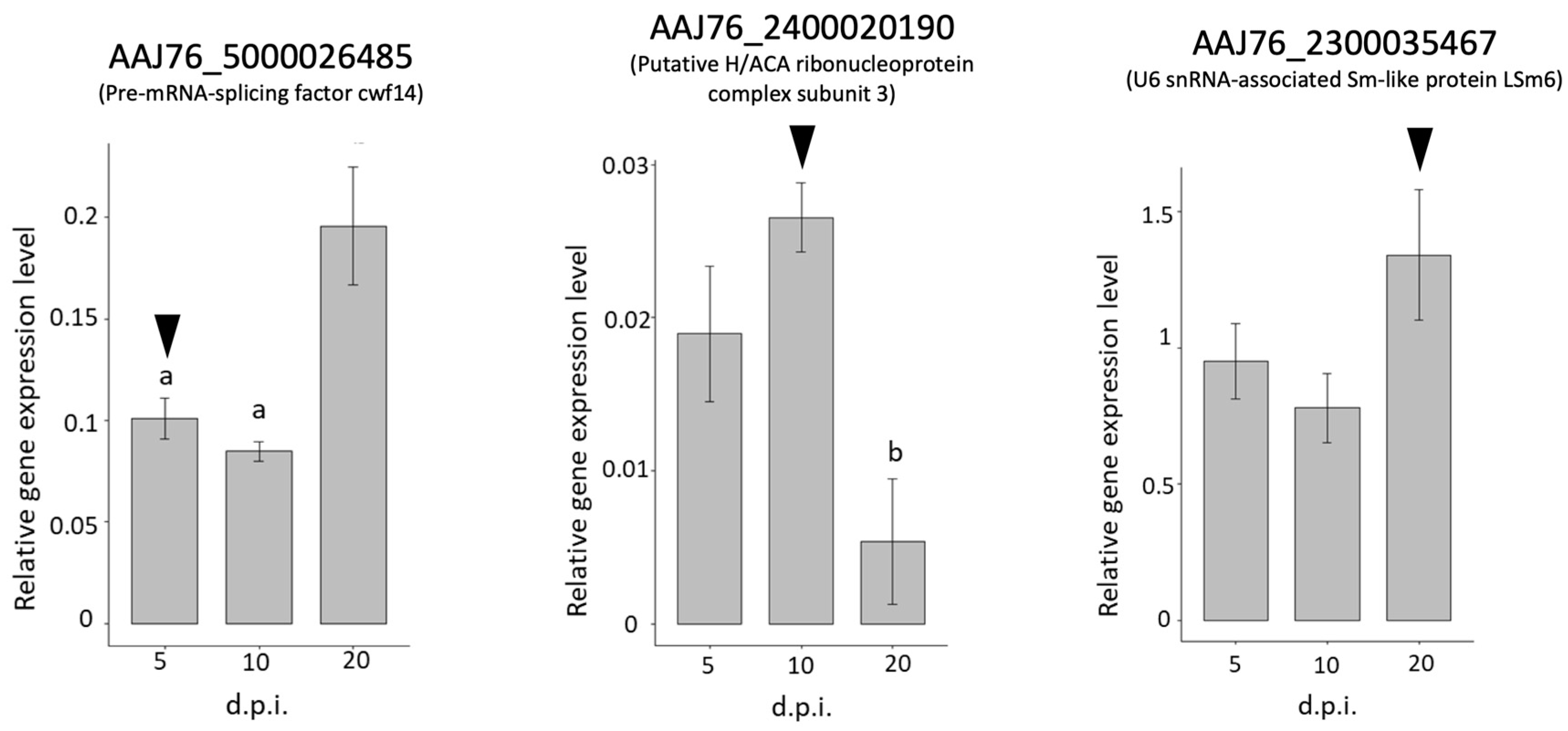 Insects 13 00716 g007 550