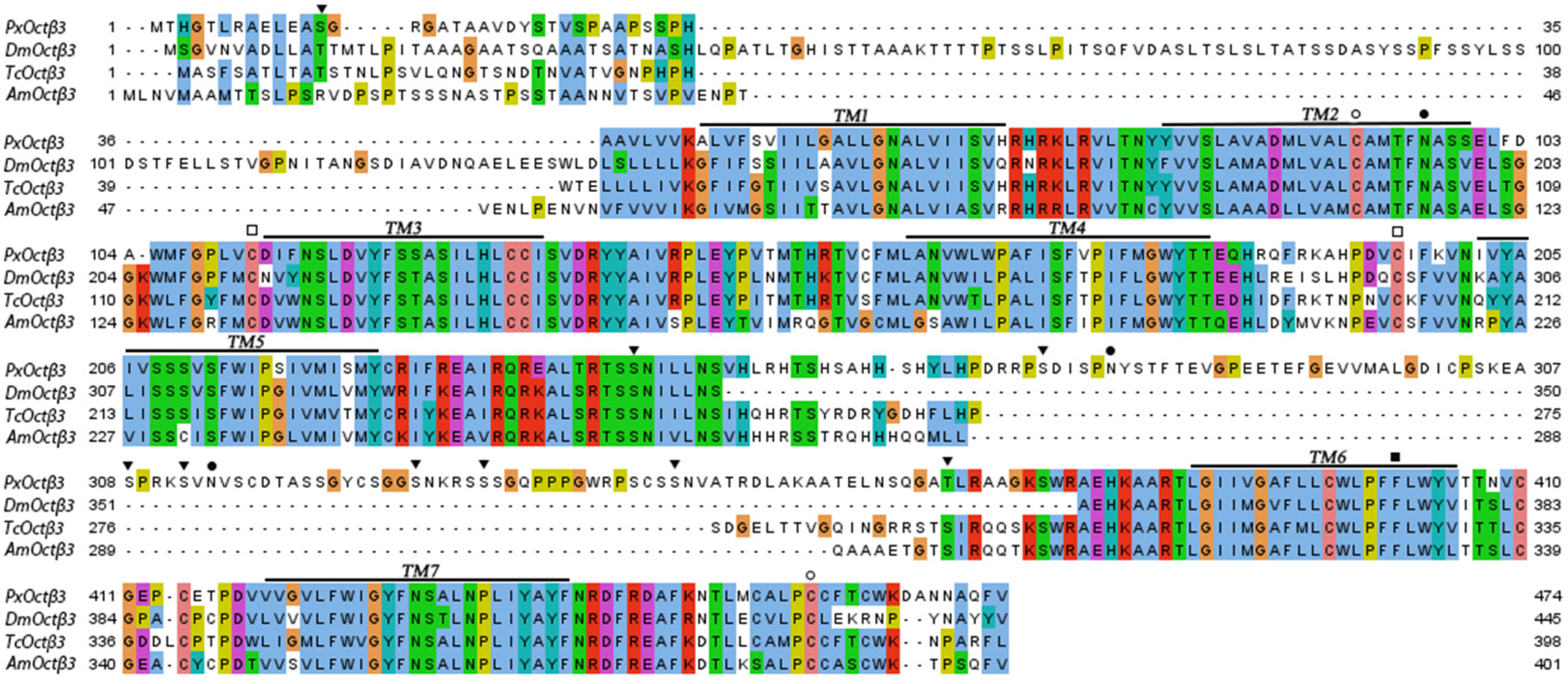 Insects 13 00735 g001