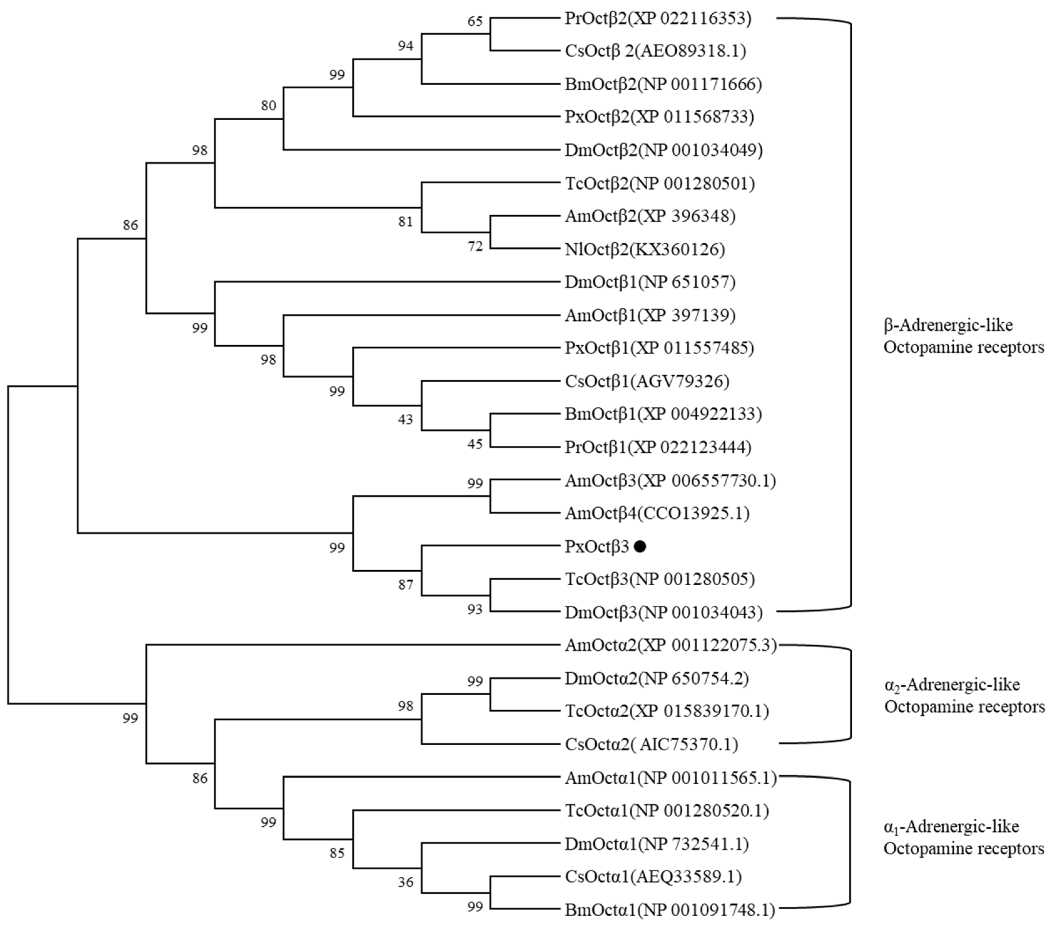 Insects 13 00735 g002