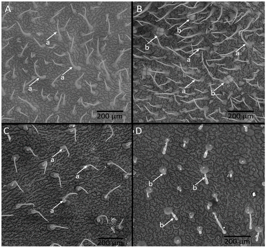 Insects 13 00738 g003 550