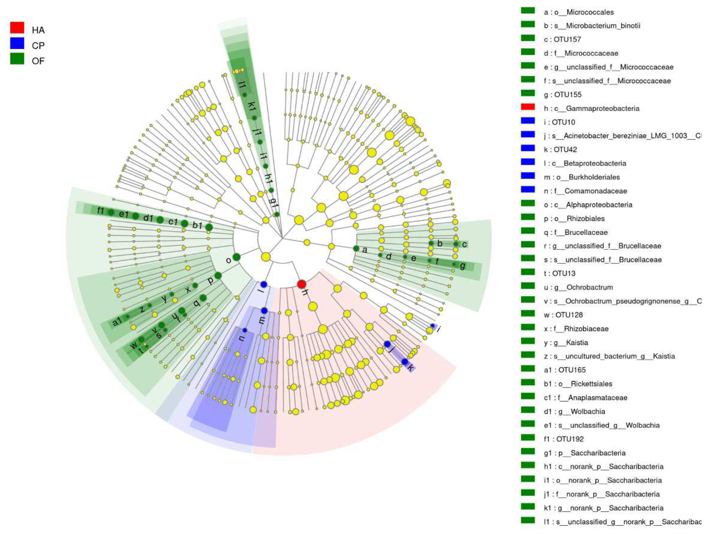 Insects 13 00740 g003 550