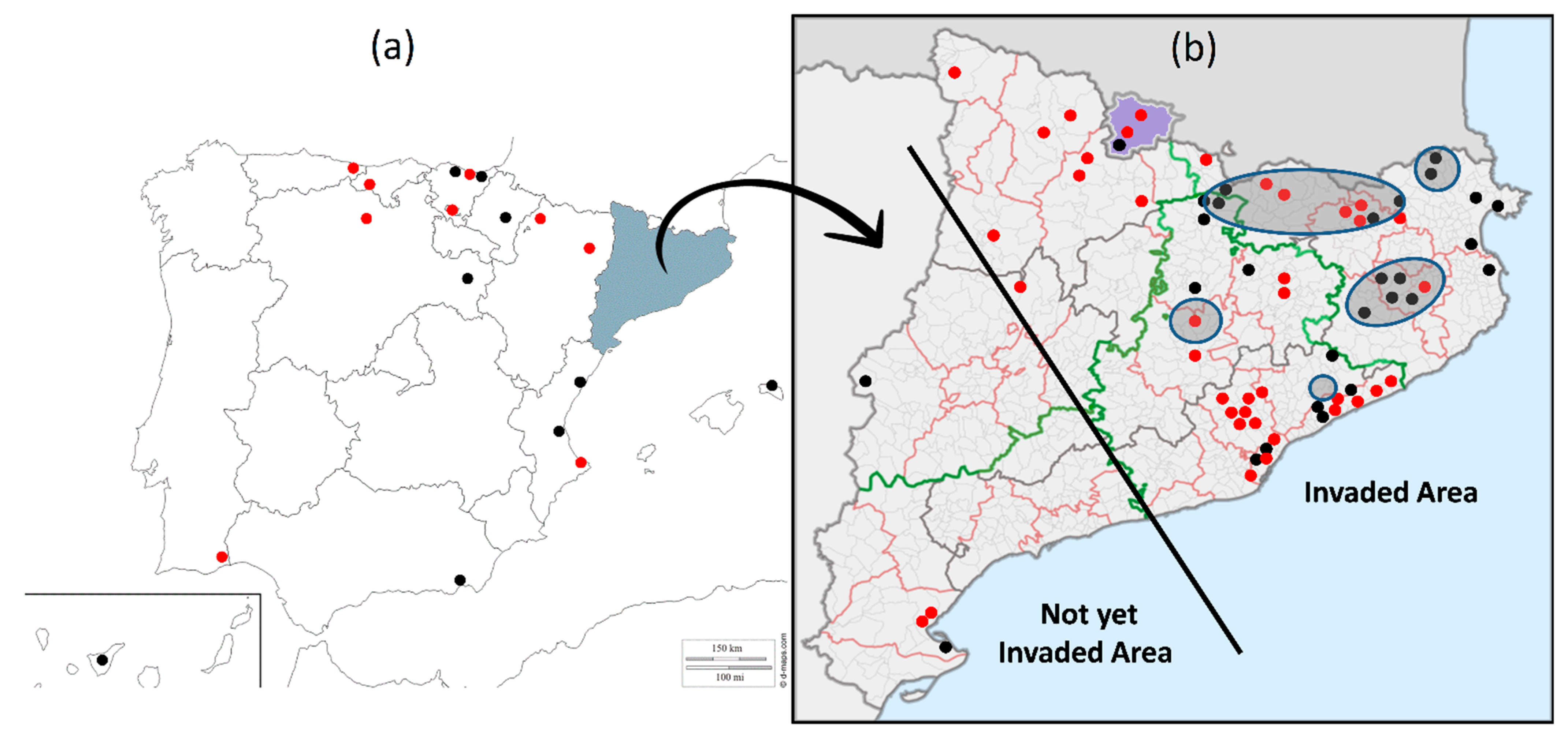 Insects 13 00741 g001 Insects 13 00741 g001