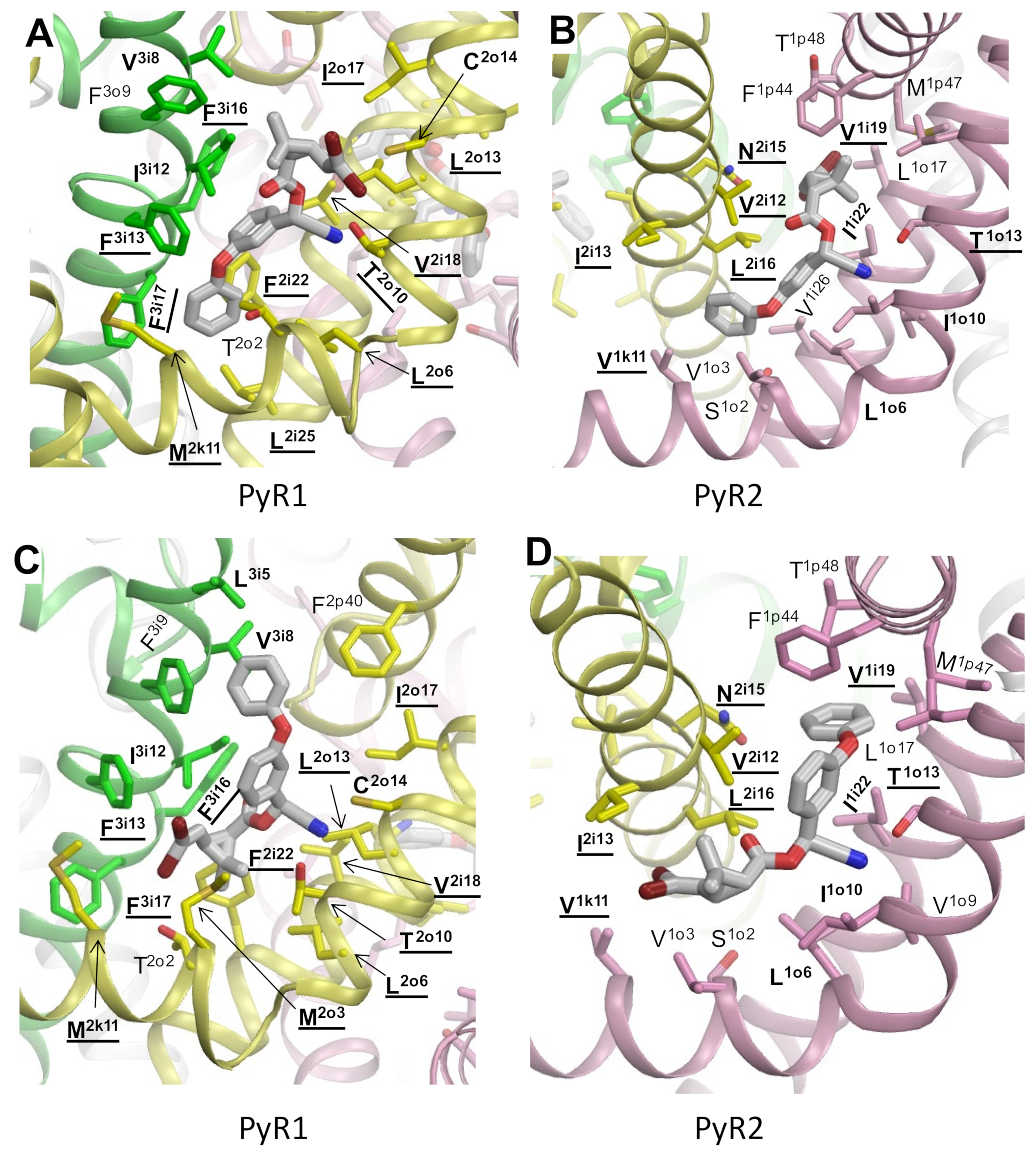 Insects 13 00745 g002 550
