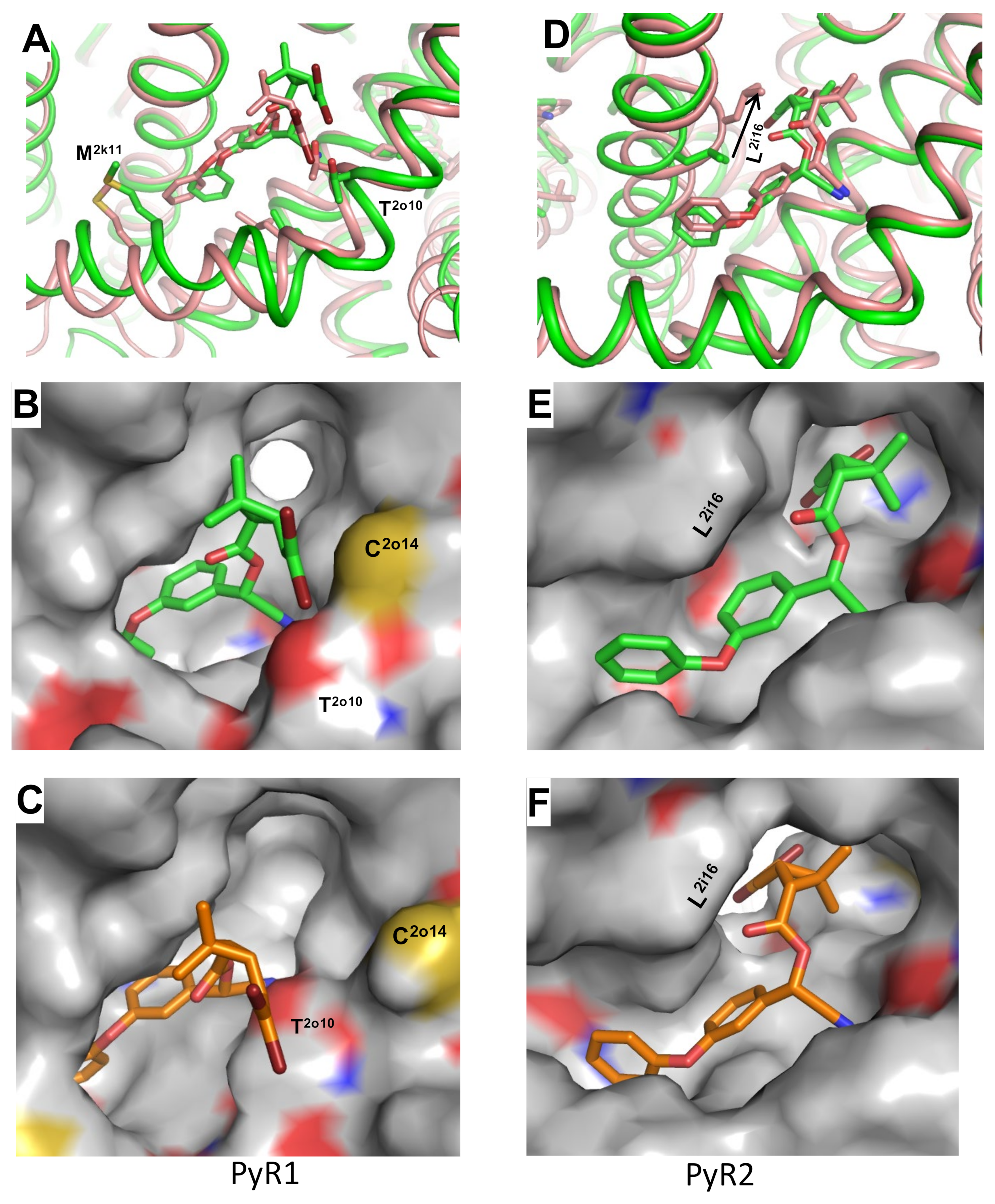 Insects 13 00745 g003 550