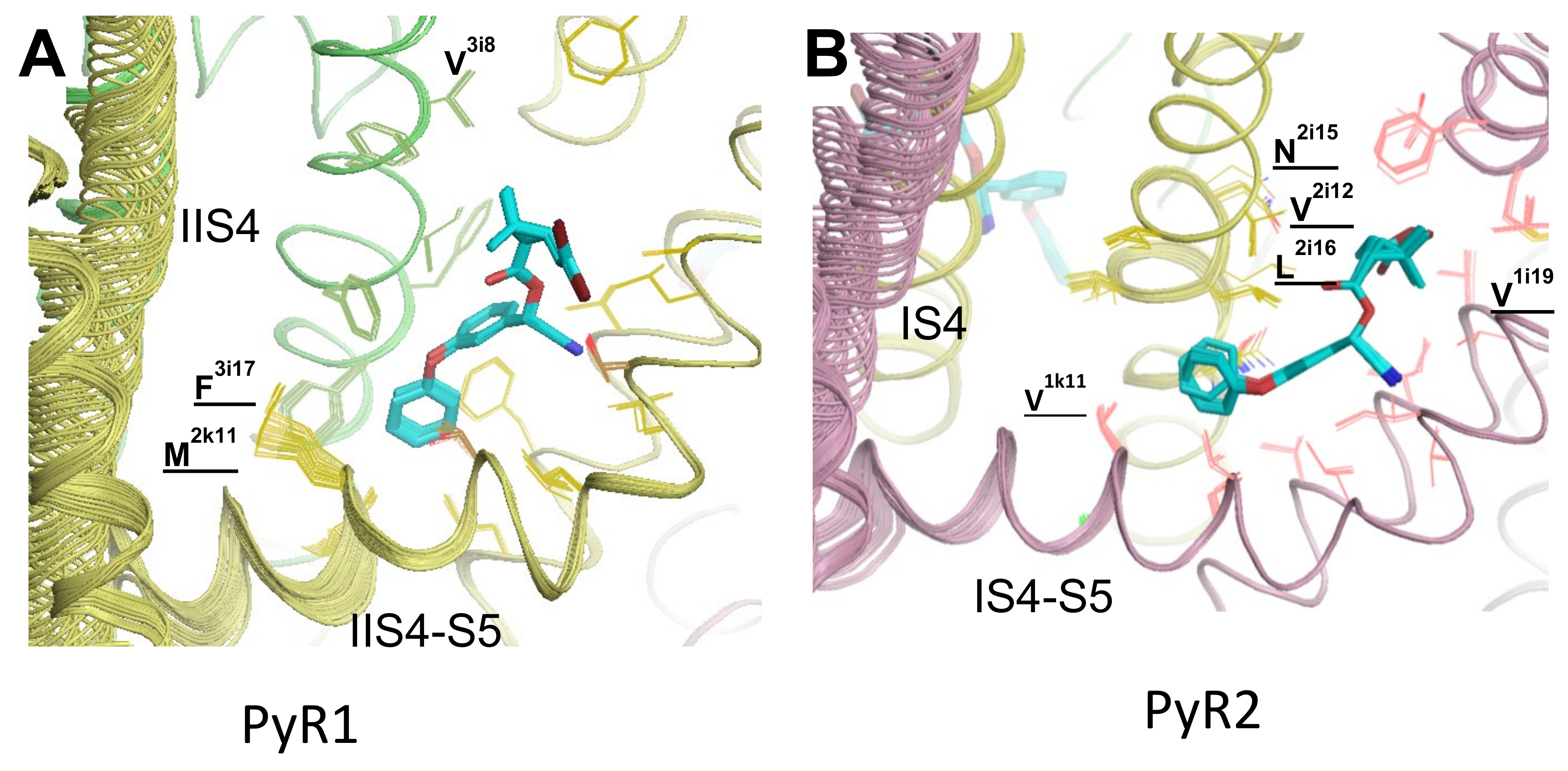 Insects 13 00745 g004 550