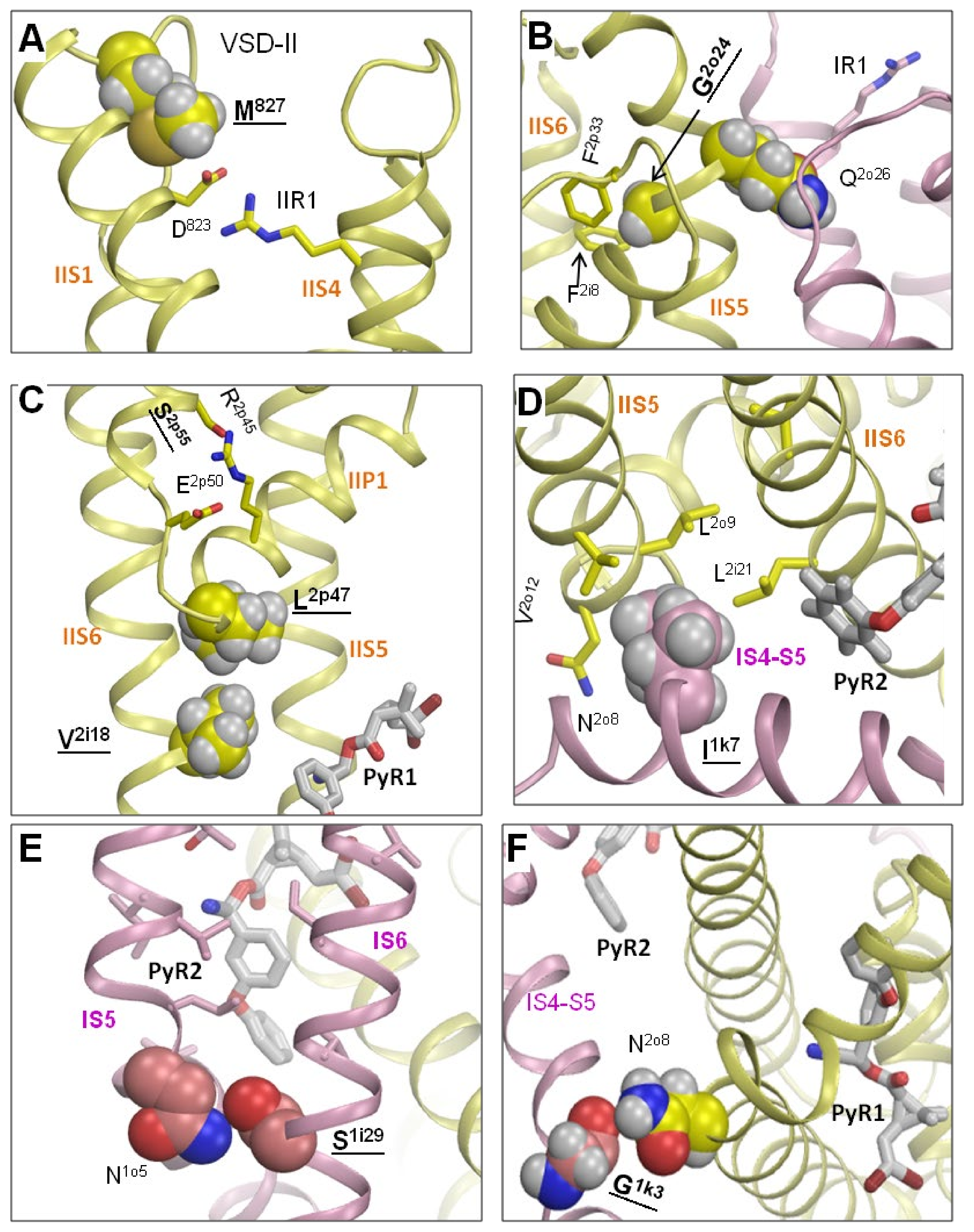 Insects 13 00745 g005 550