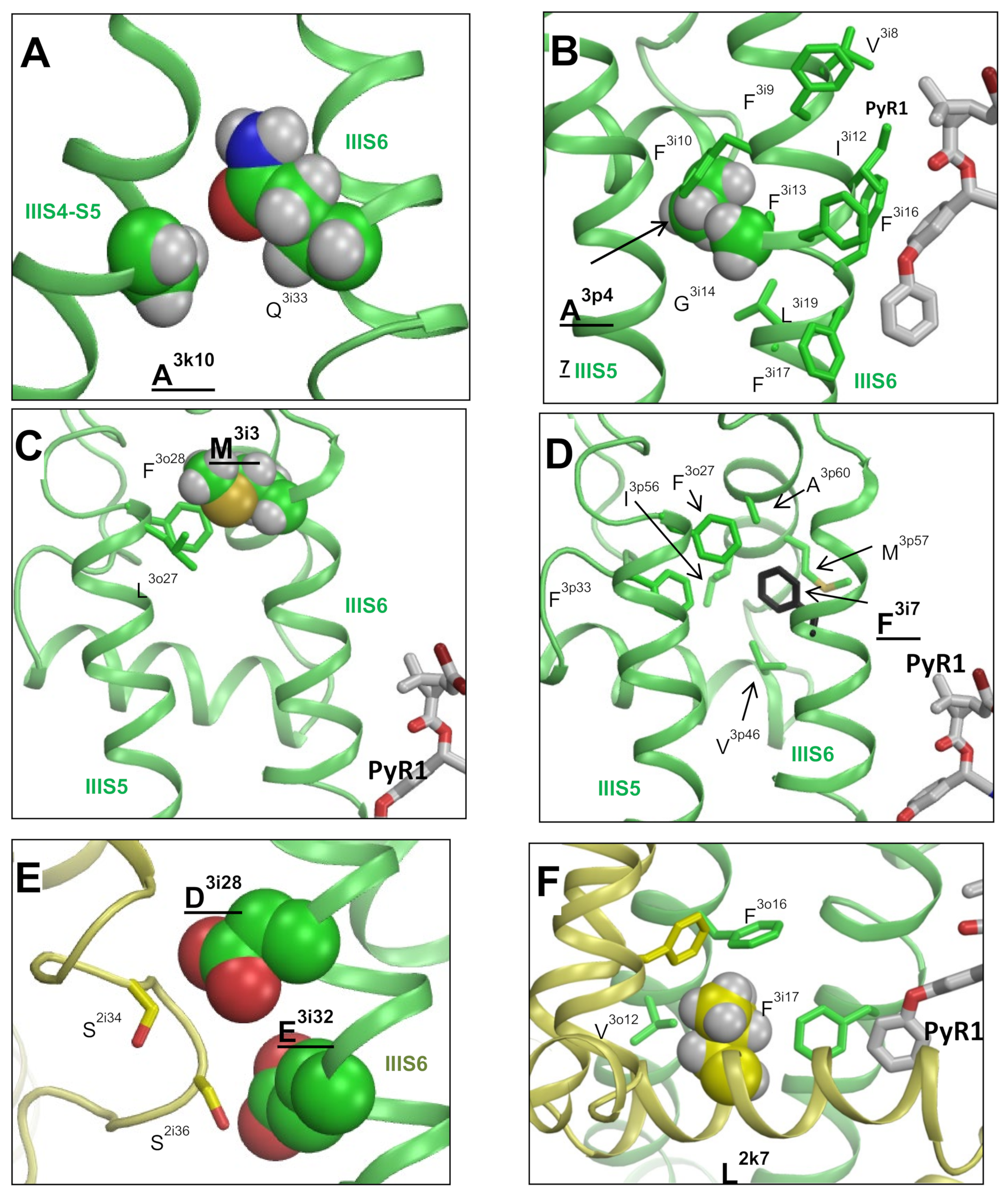 Insects 13 00745 g006 550
