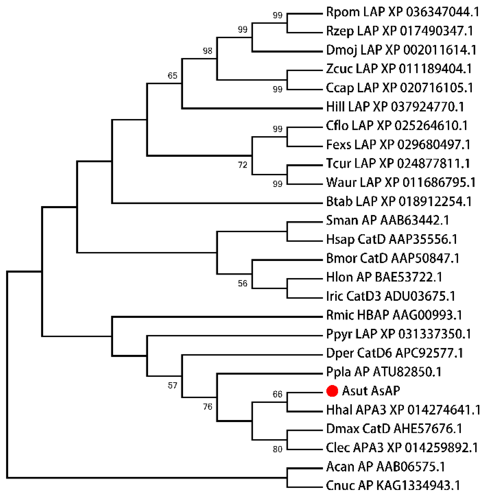 Insects 13 00755 g002 Insects 13 00755 g002