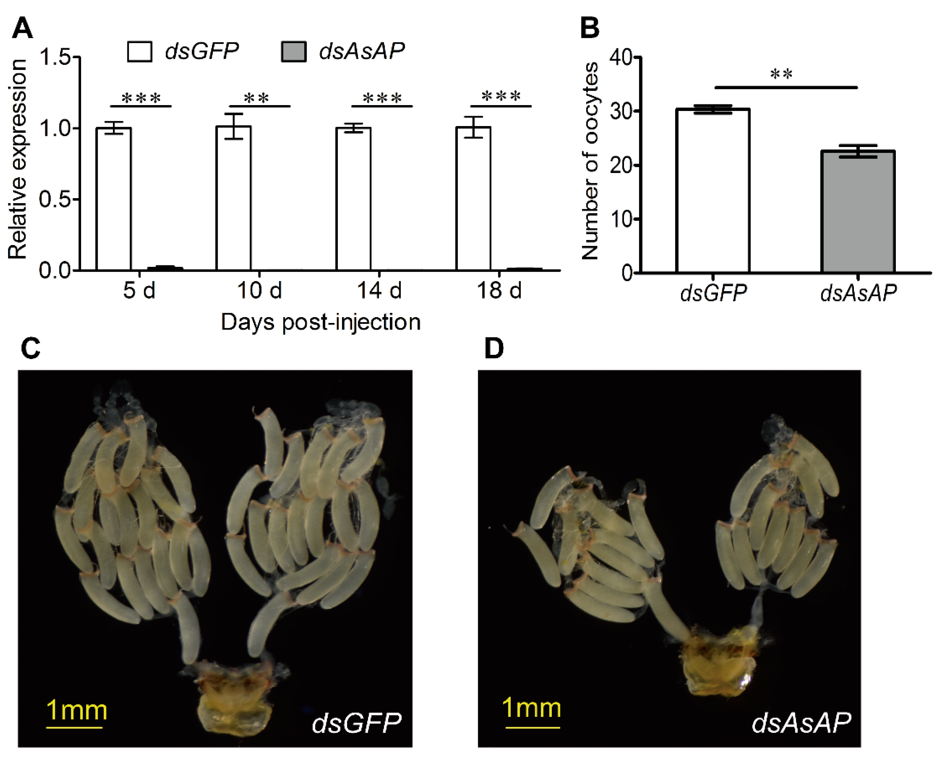 Insects 13 00755 g004 Insects 13 00755 g004