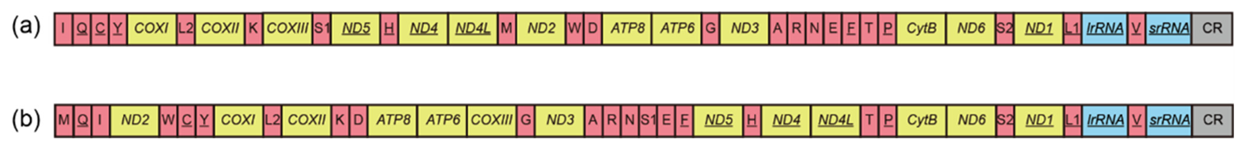 Insects 13 00759 g004 550
