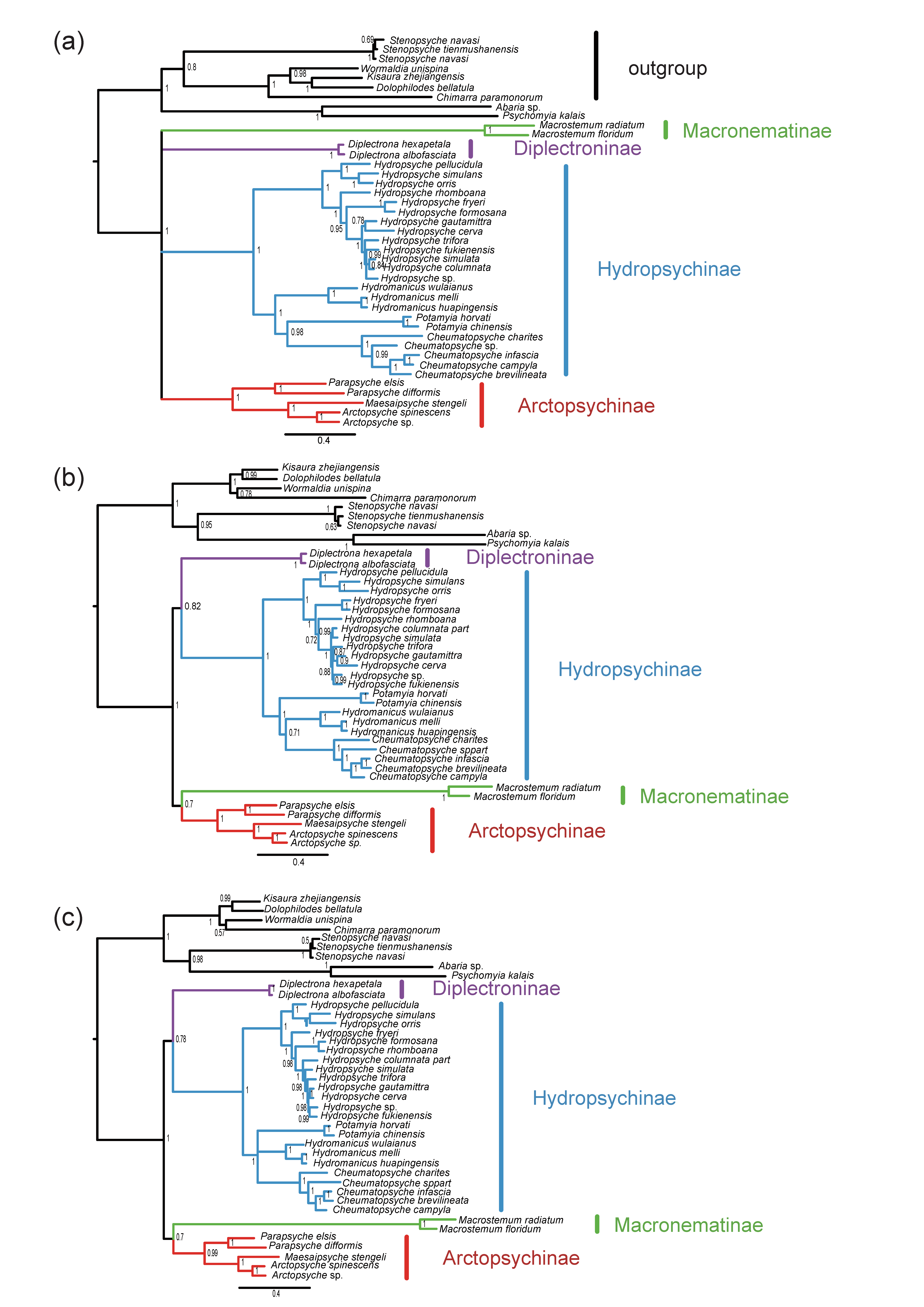 Insects 13 00759 g005 550