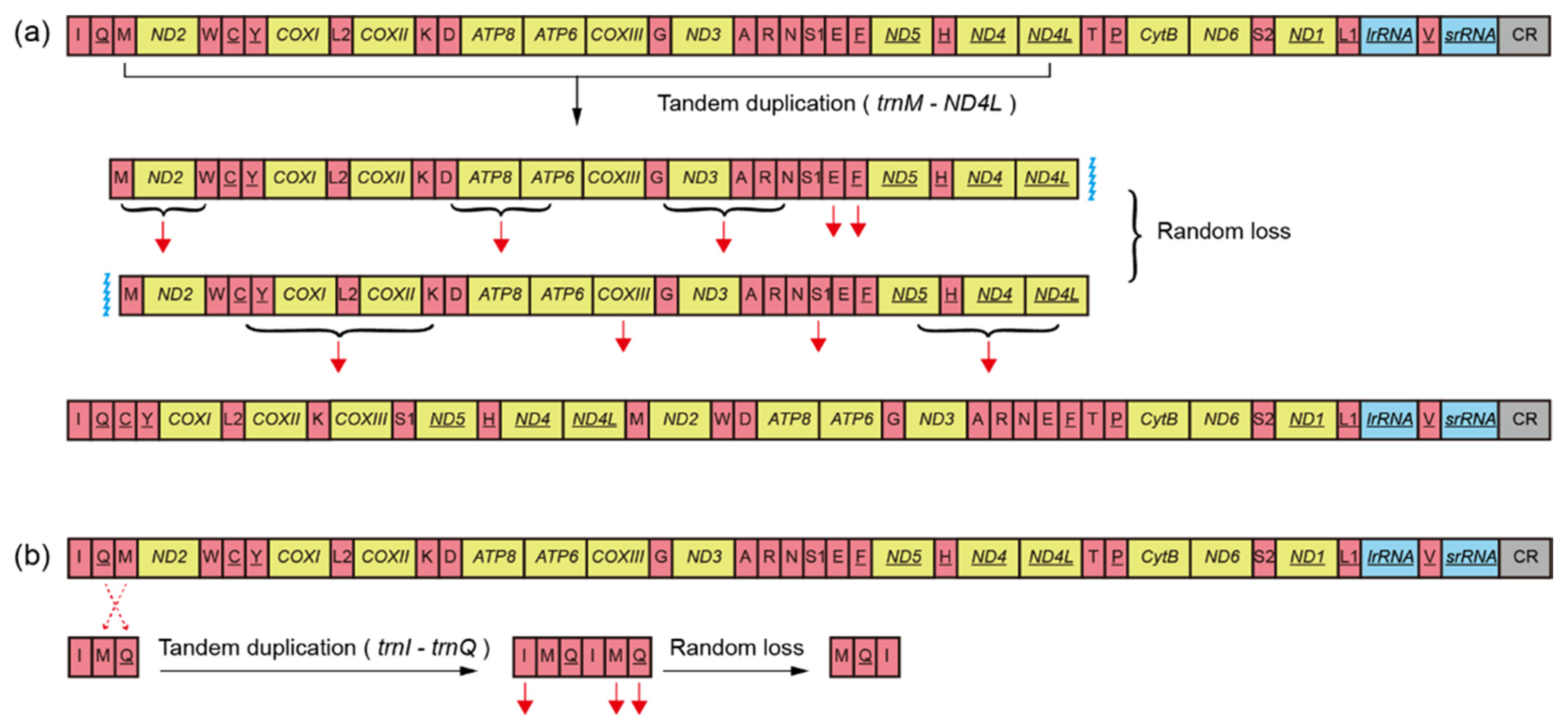 Insects 13 00759 g006 550