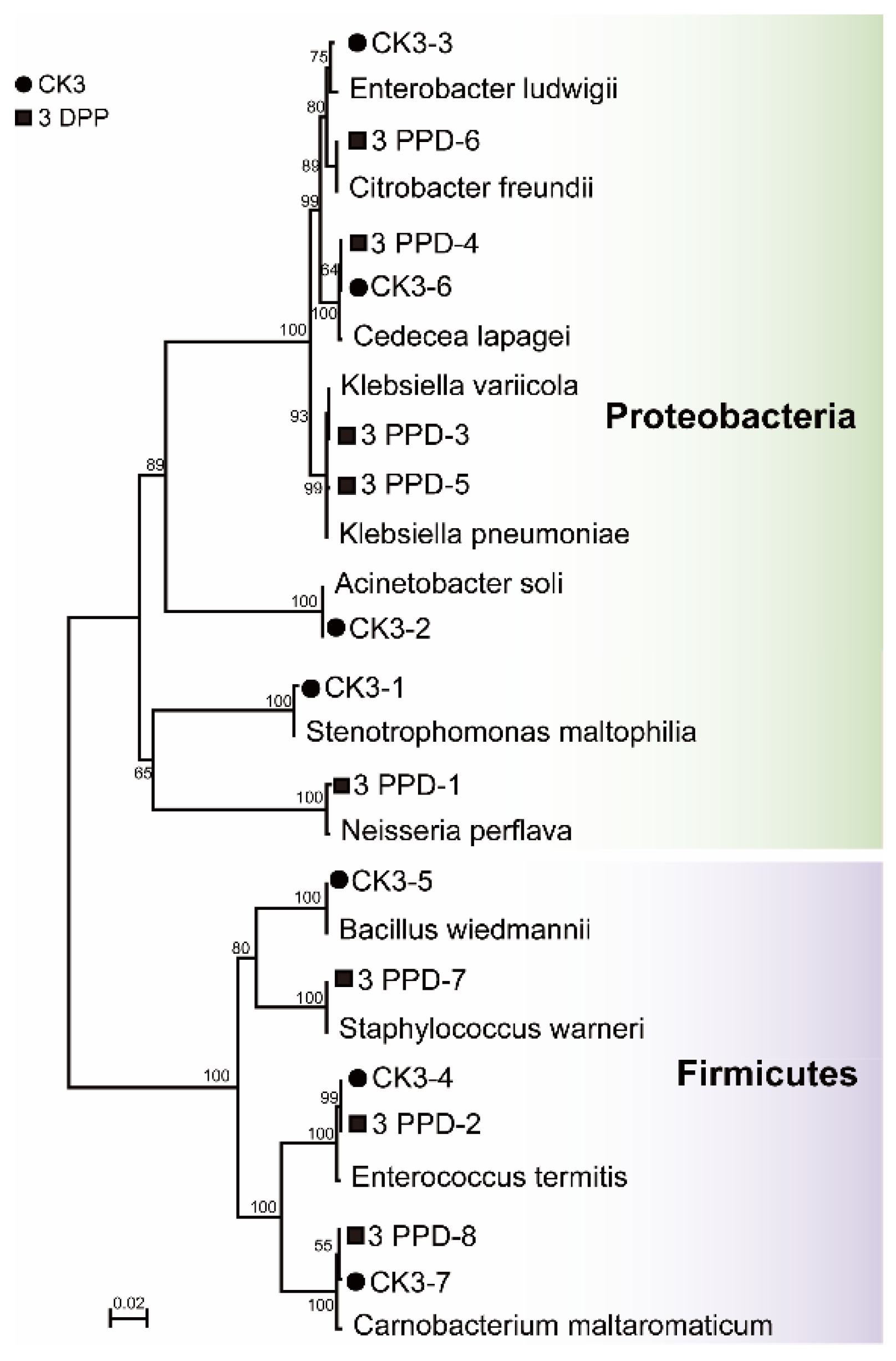 Insects 13 00760 g007
