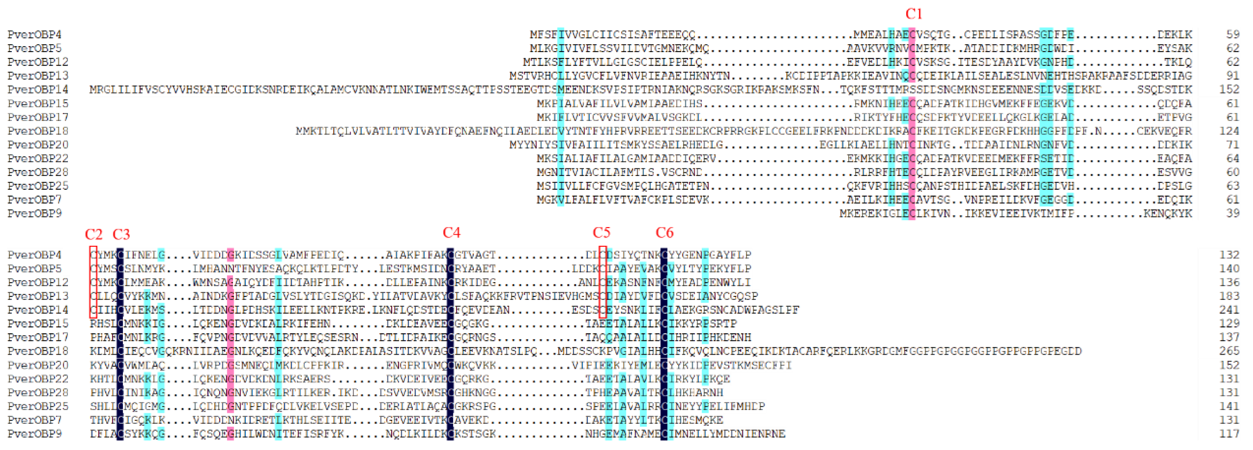 Insects 13 00763 g002 550