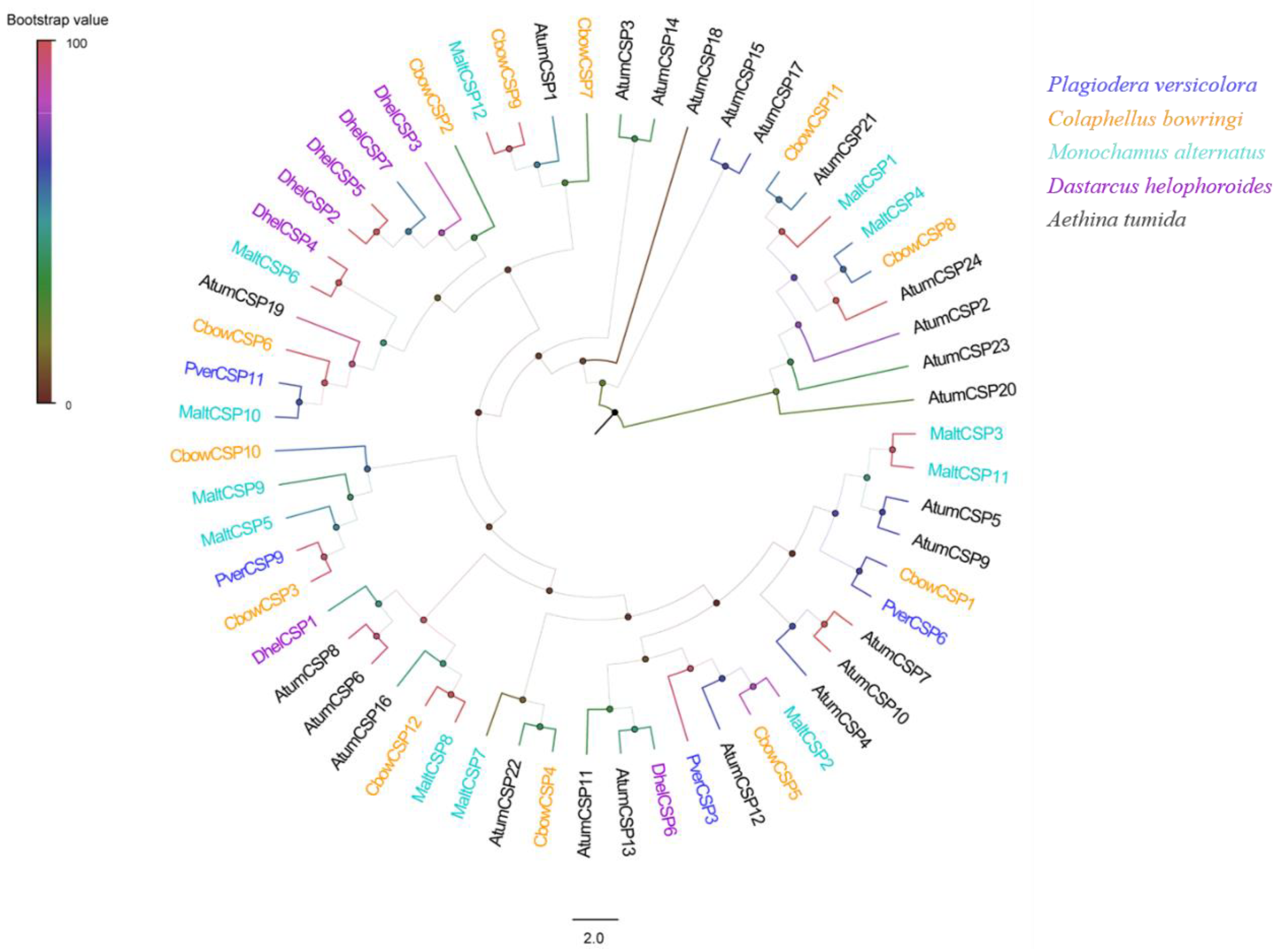 Insects 13 00763 g005 550