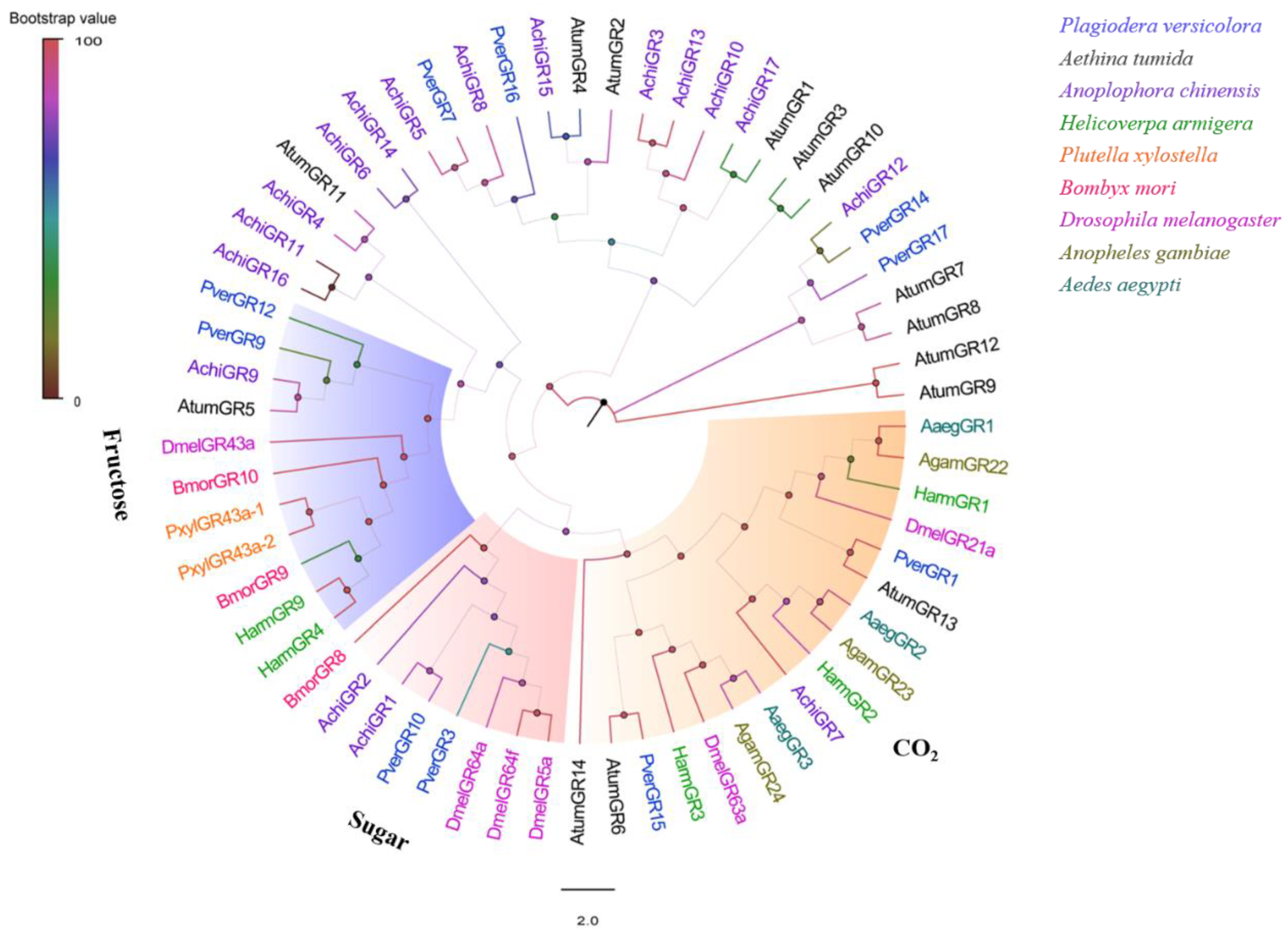 Insects 13 00763 g006 550