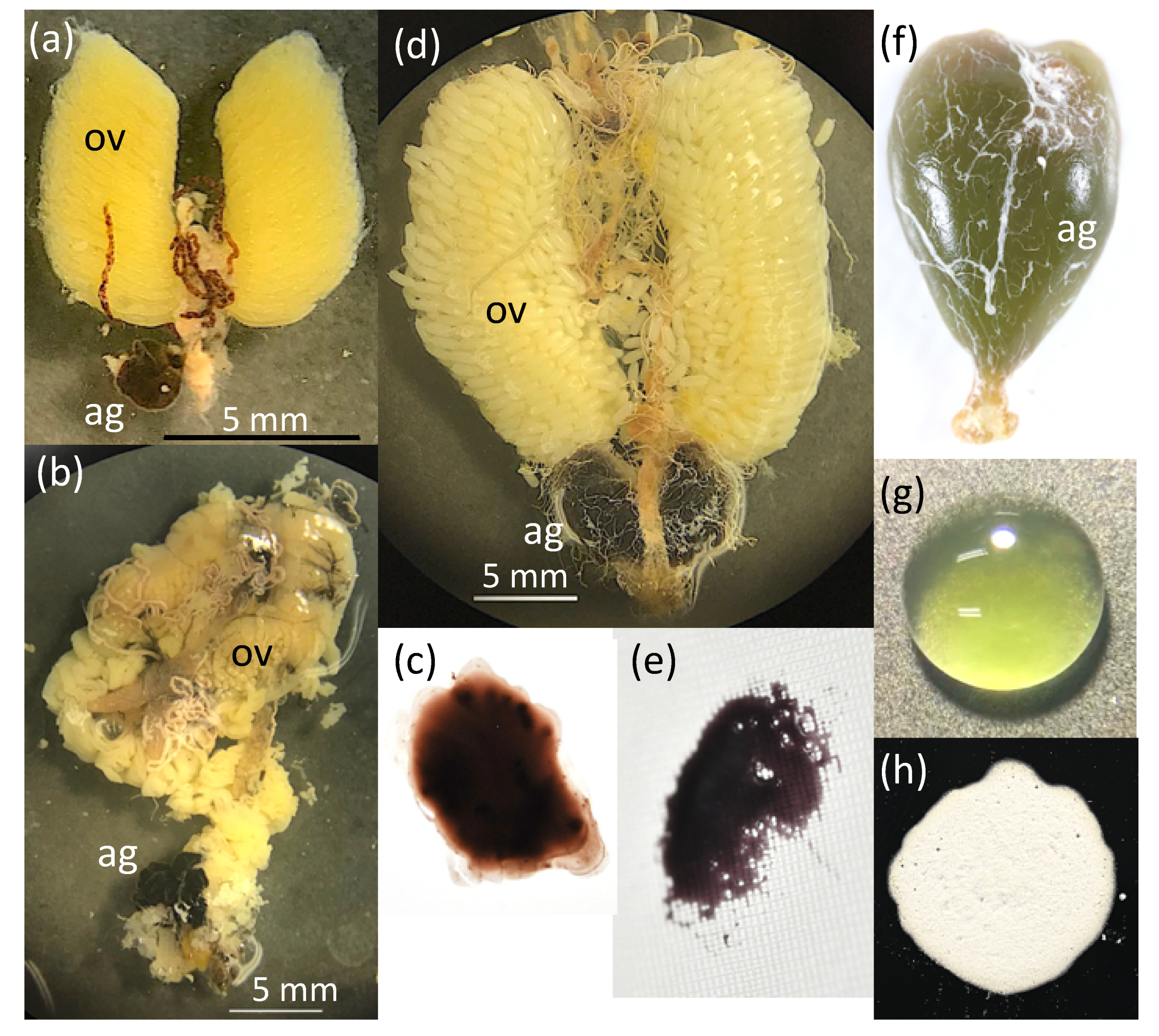 Insects 13 00766 g003 Insects 13 00766 g003