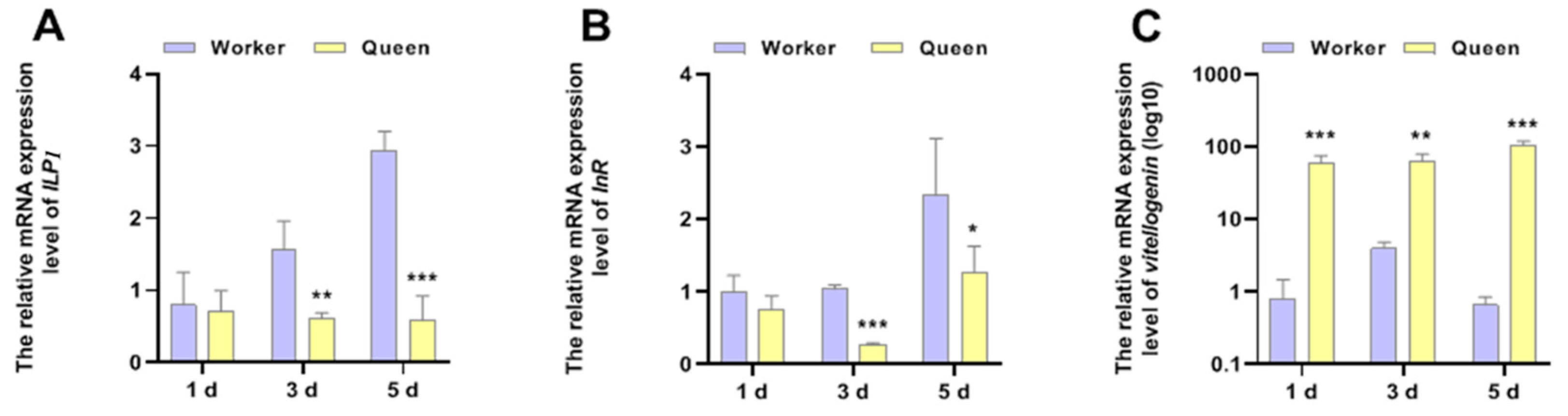 Insects 13 00772 g003 Insects 13 00772 g003