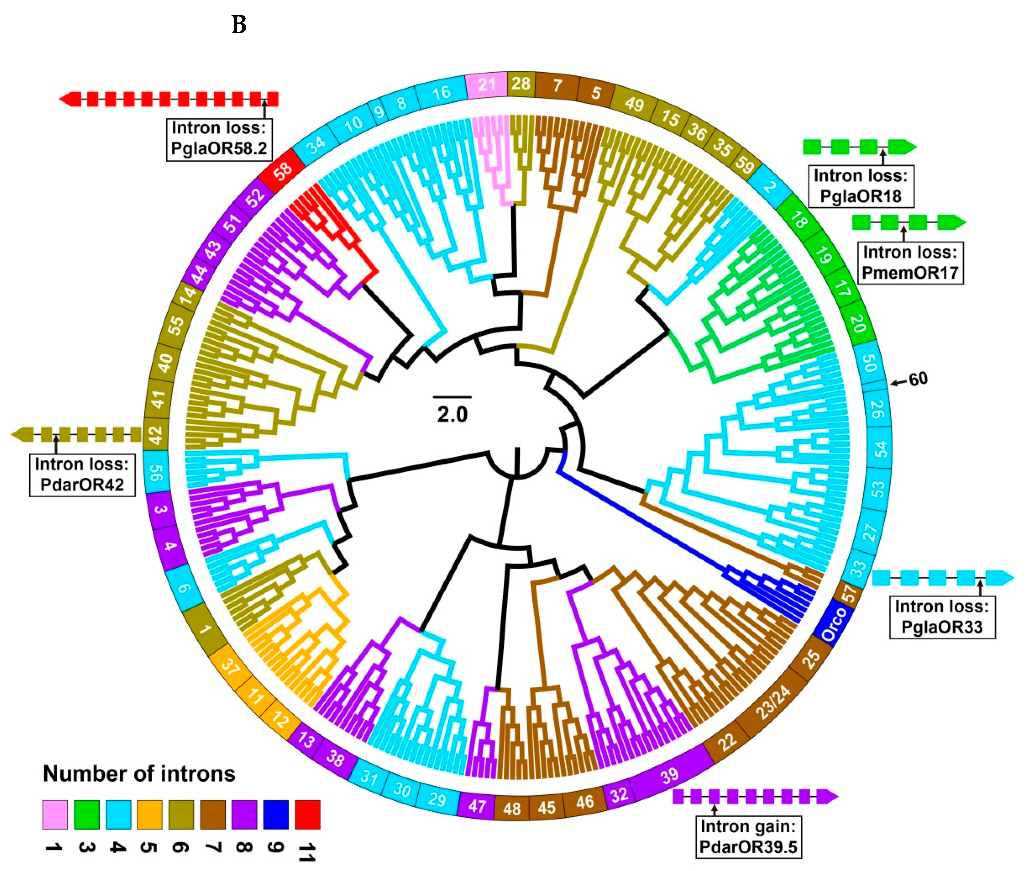 Insects 13 00779 g004b 550