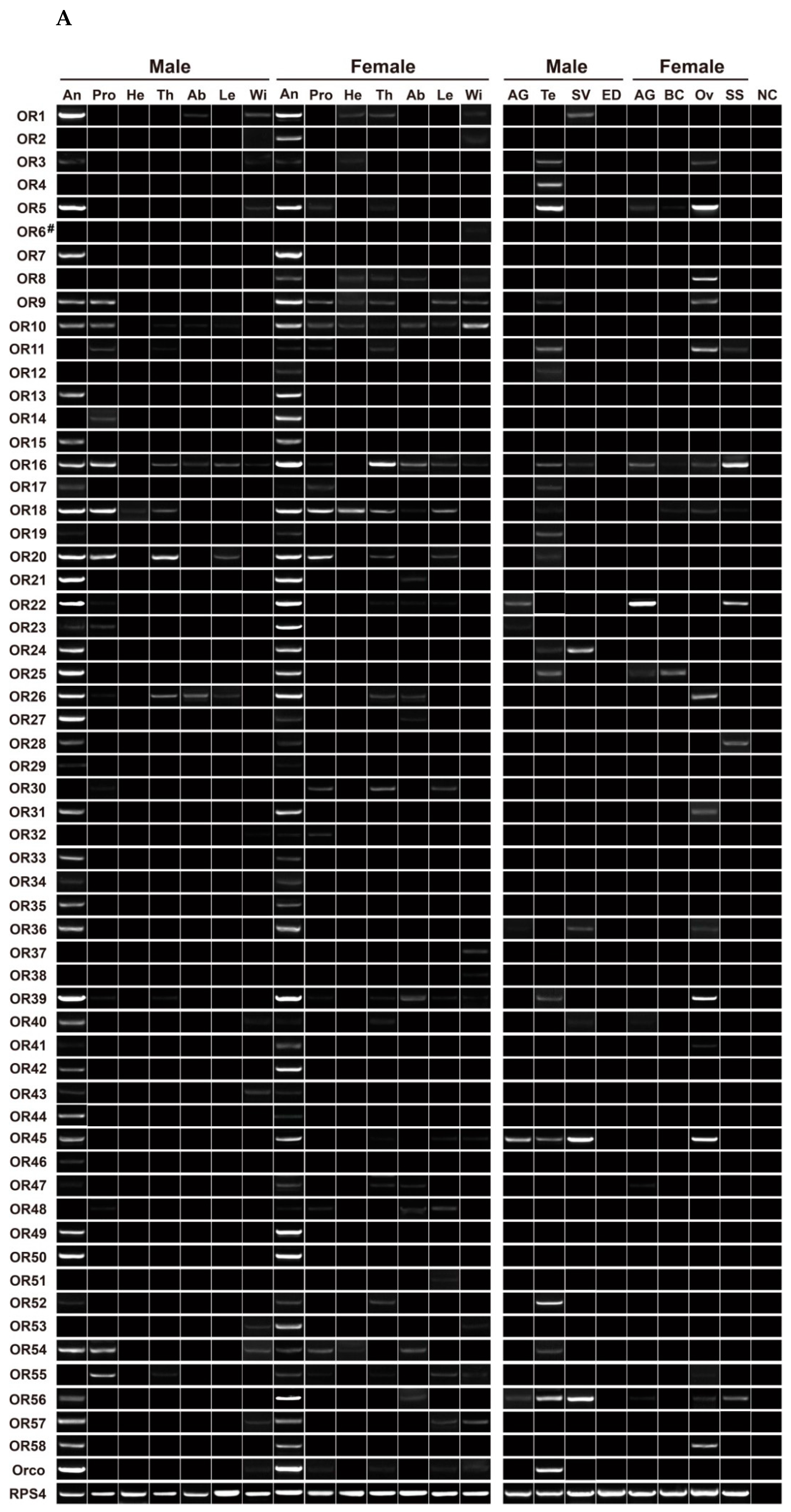 Insects 13 00779 g007a 550
