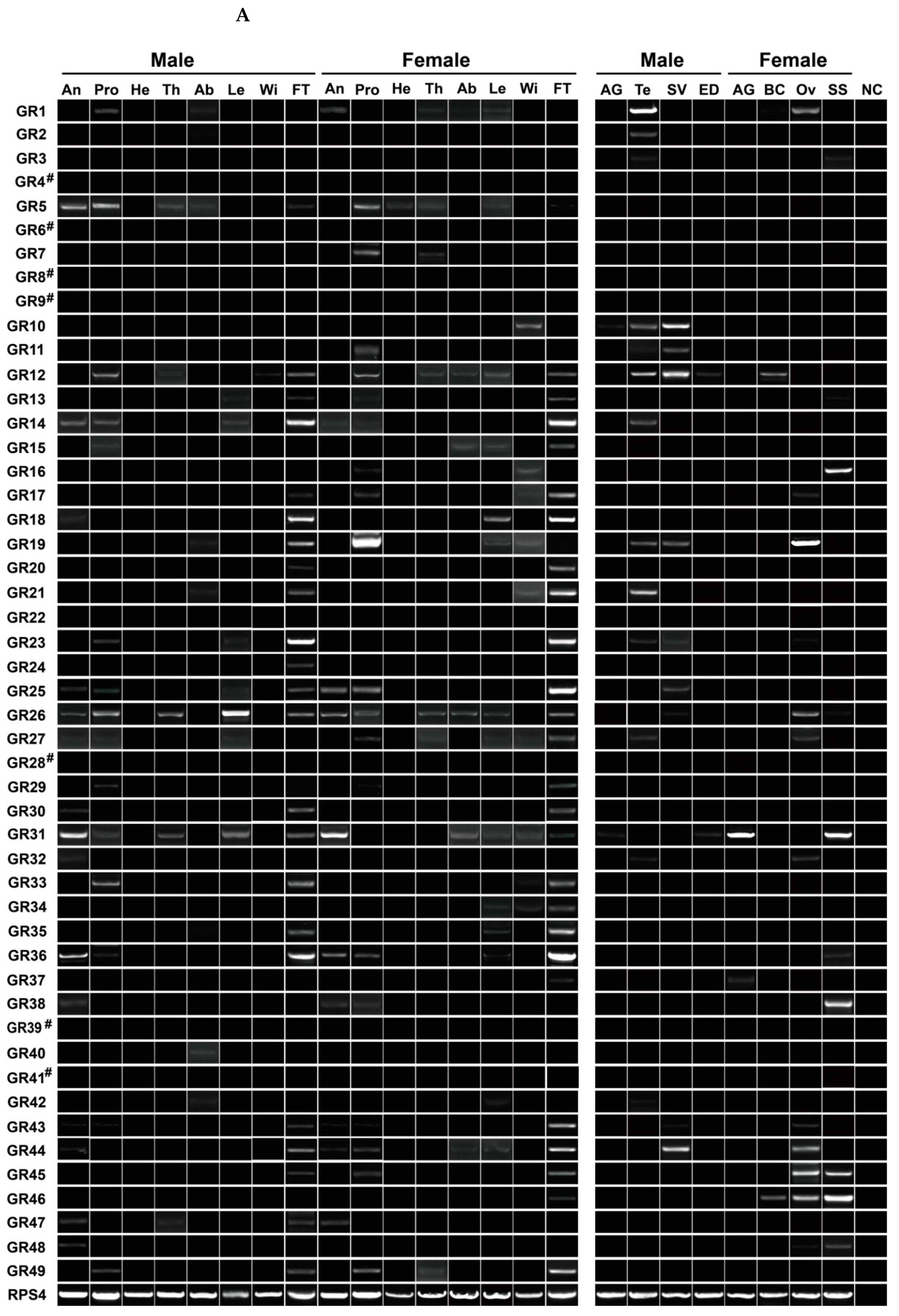 Insects 13 00779 g008a 550