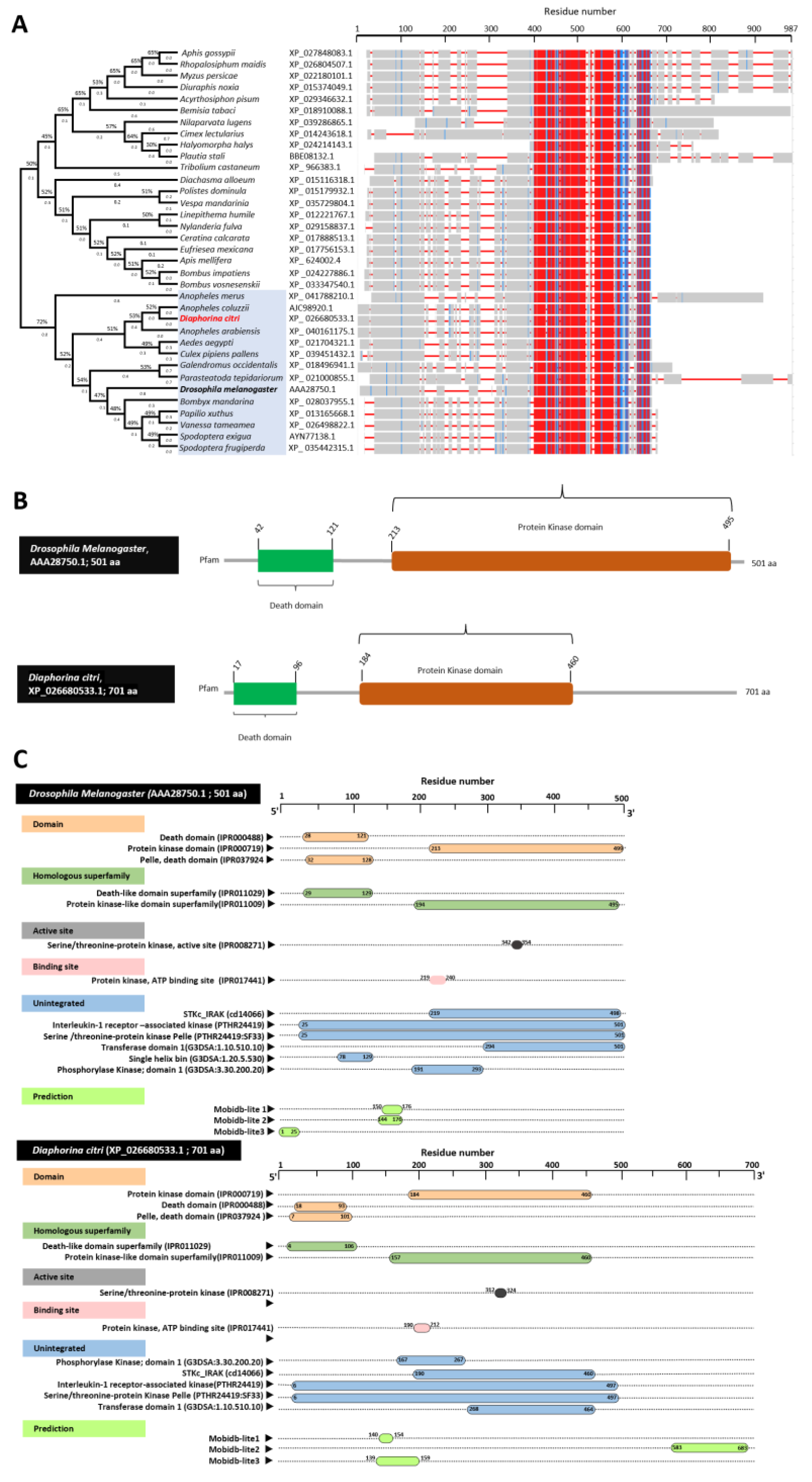 Insects 13 00783 g001