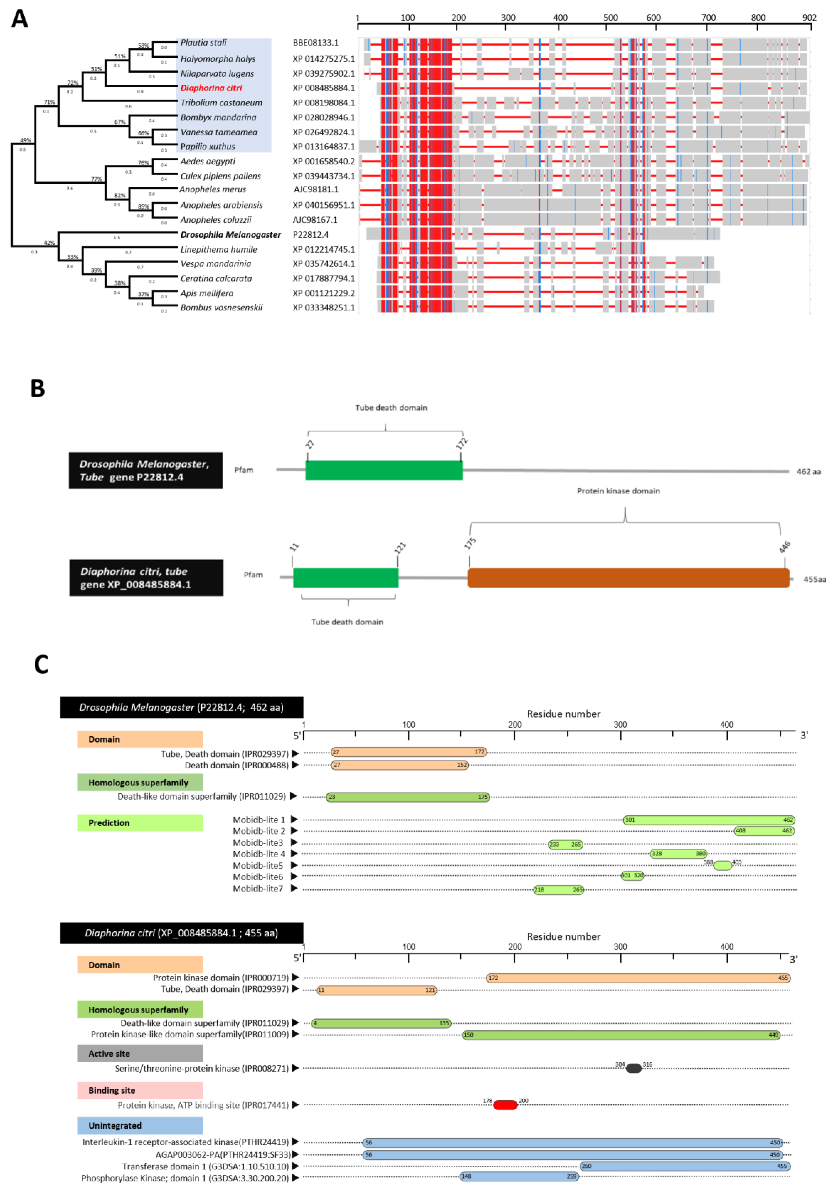Insects 13 00783 g003