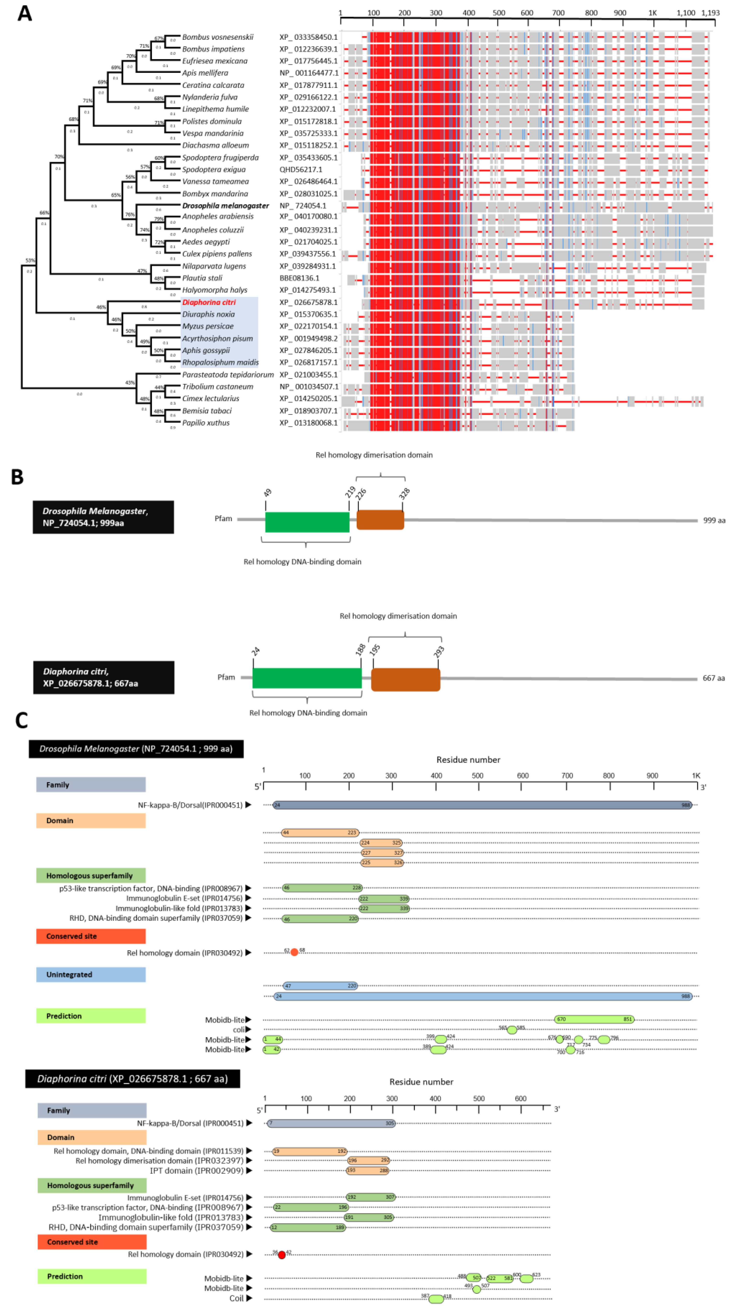 Insects 13 00783 g005