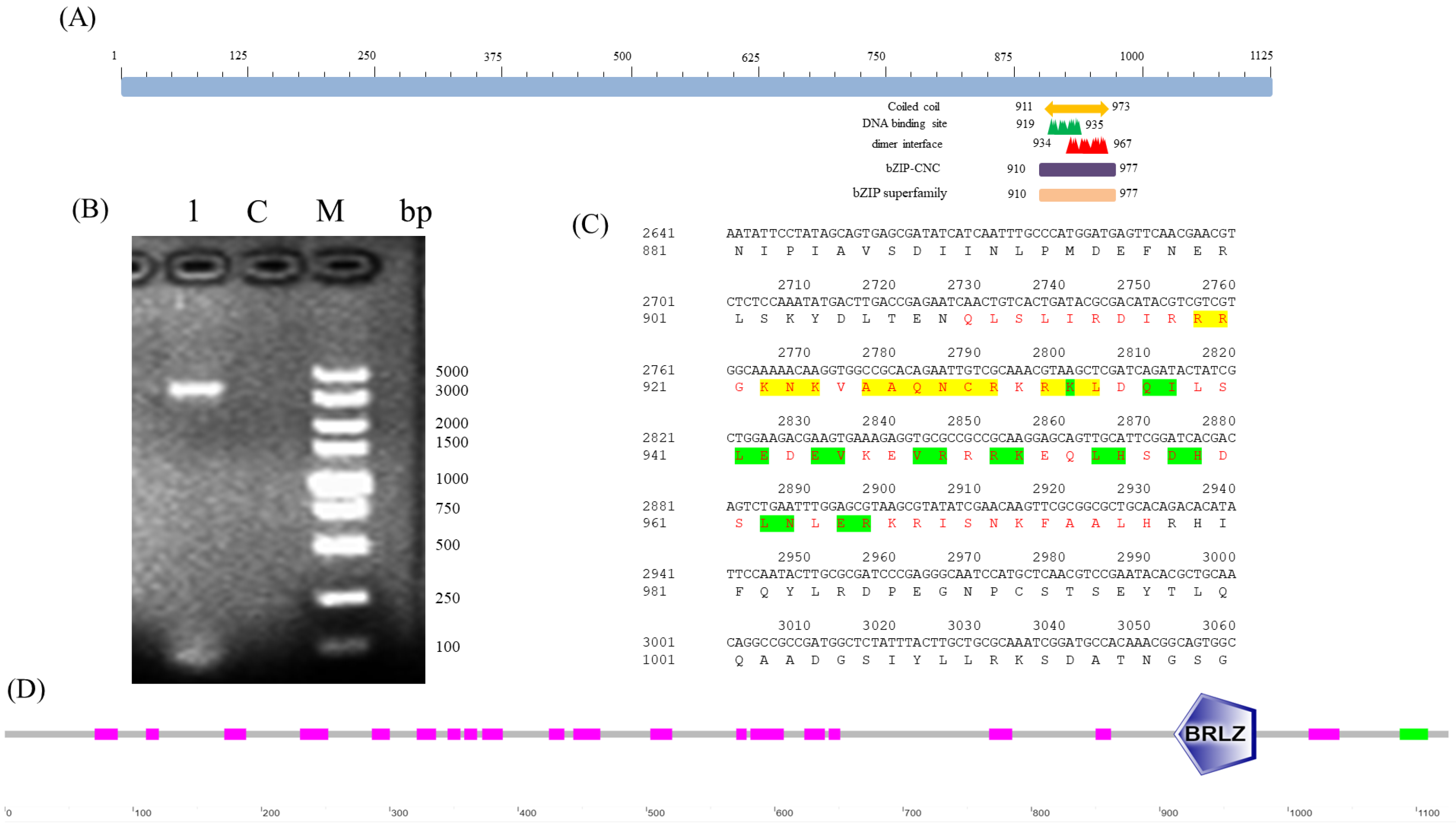 Insects 13 00785 g001 Insects 13 00785 g001