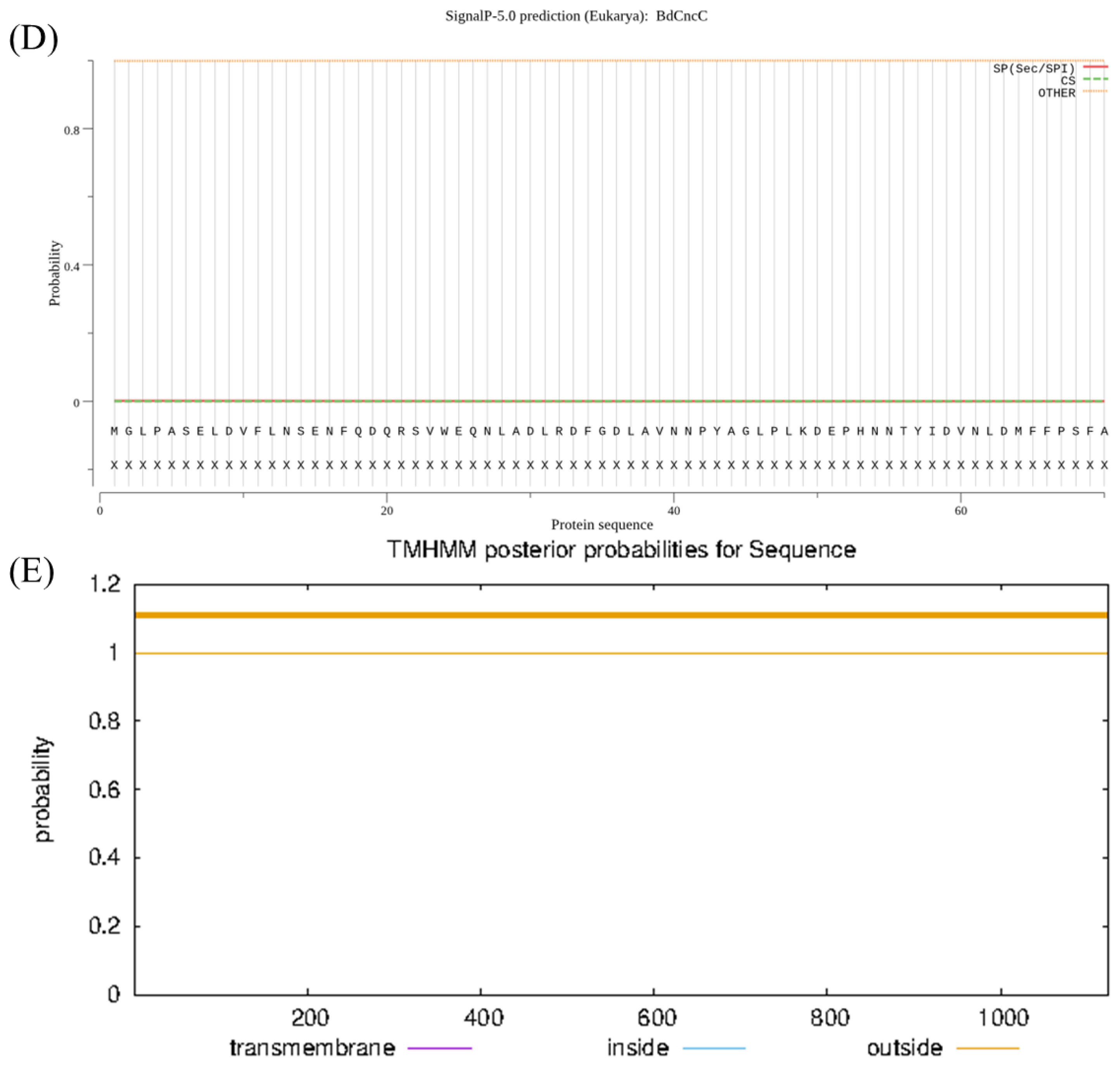 Insects 13 00785 g002b Insects 13 00785 g002b