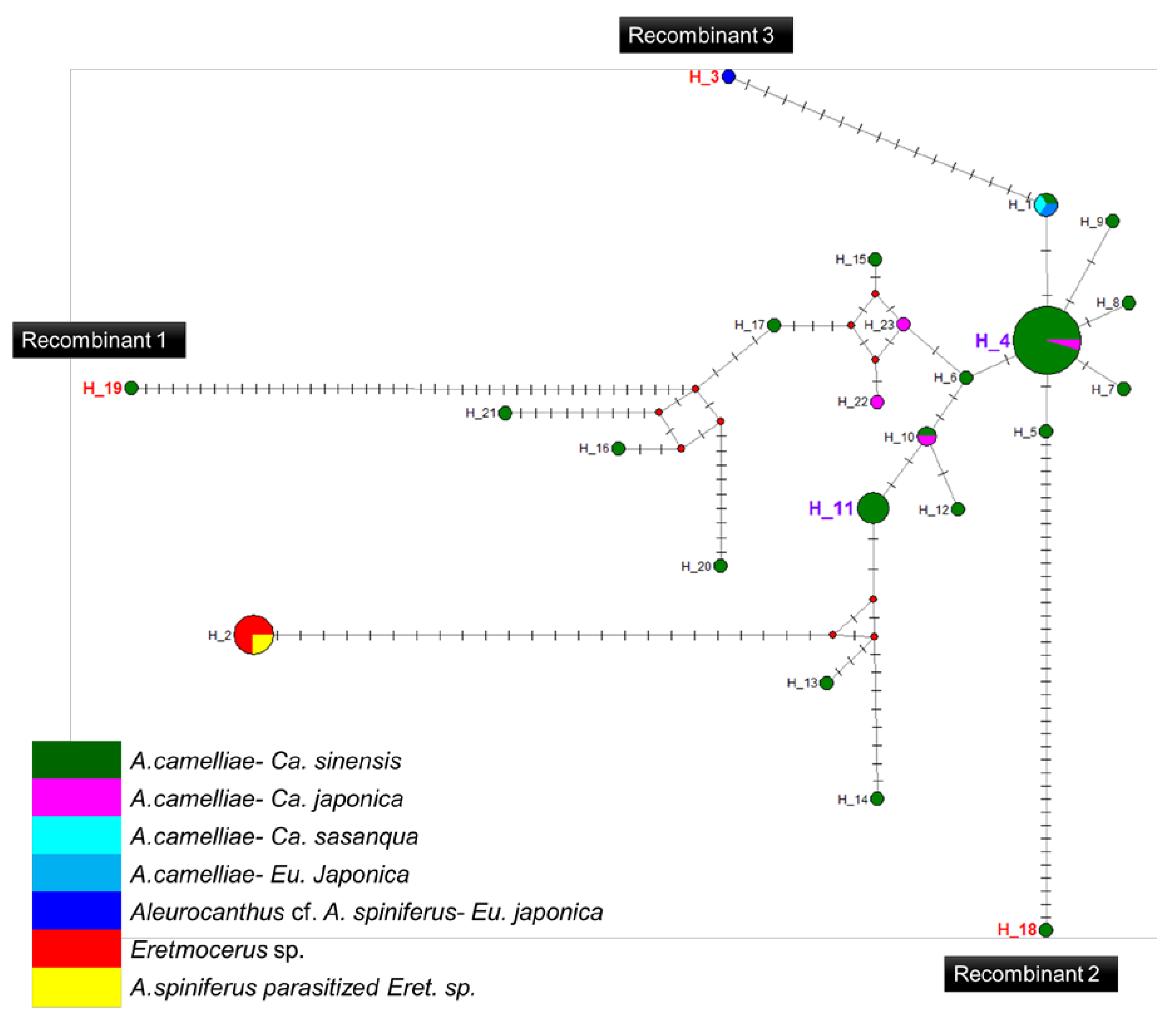 Insects 13 00788 g005 Insects 13 00788 g005