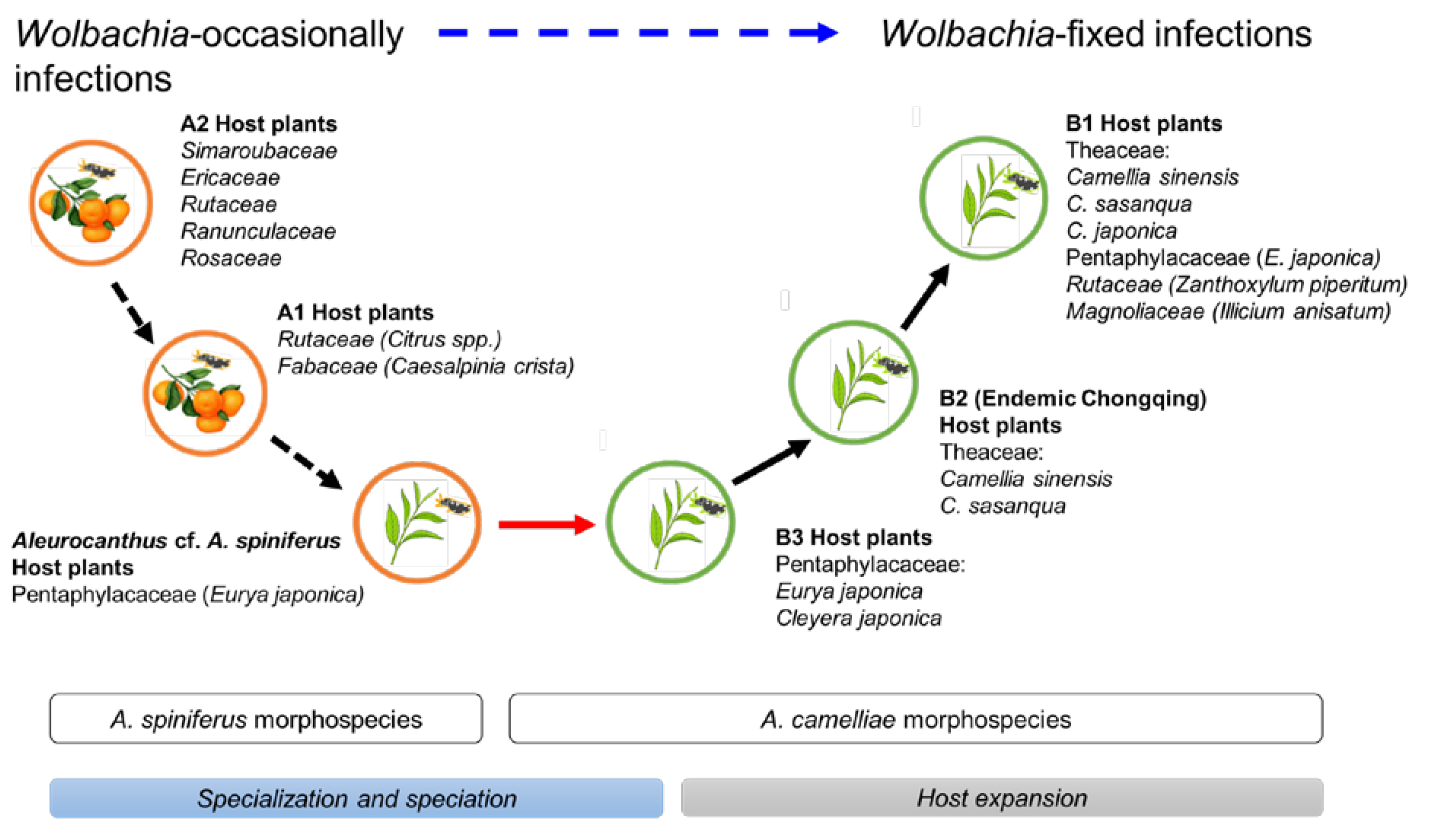 Insects 13 00788 g006 Insects 13 00788 g006