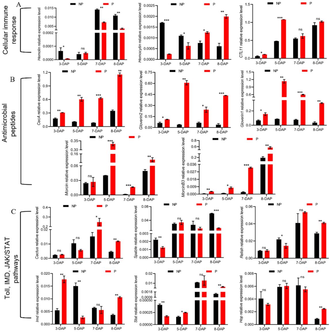 Insects 13 00792 g004 550