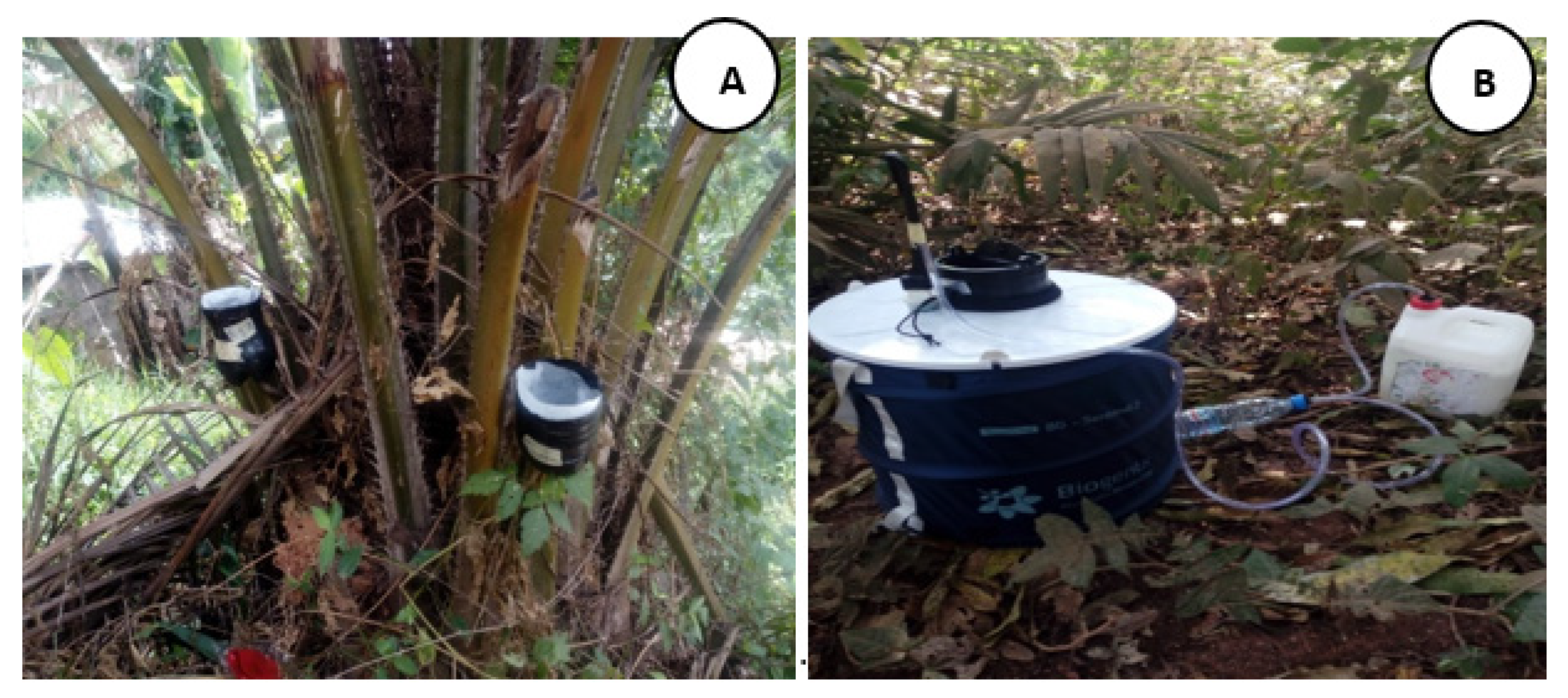 Insects 13 00793 g002 550