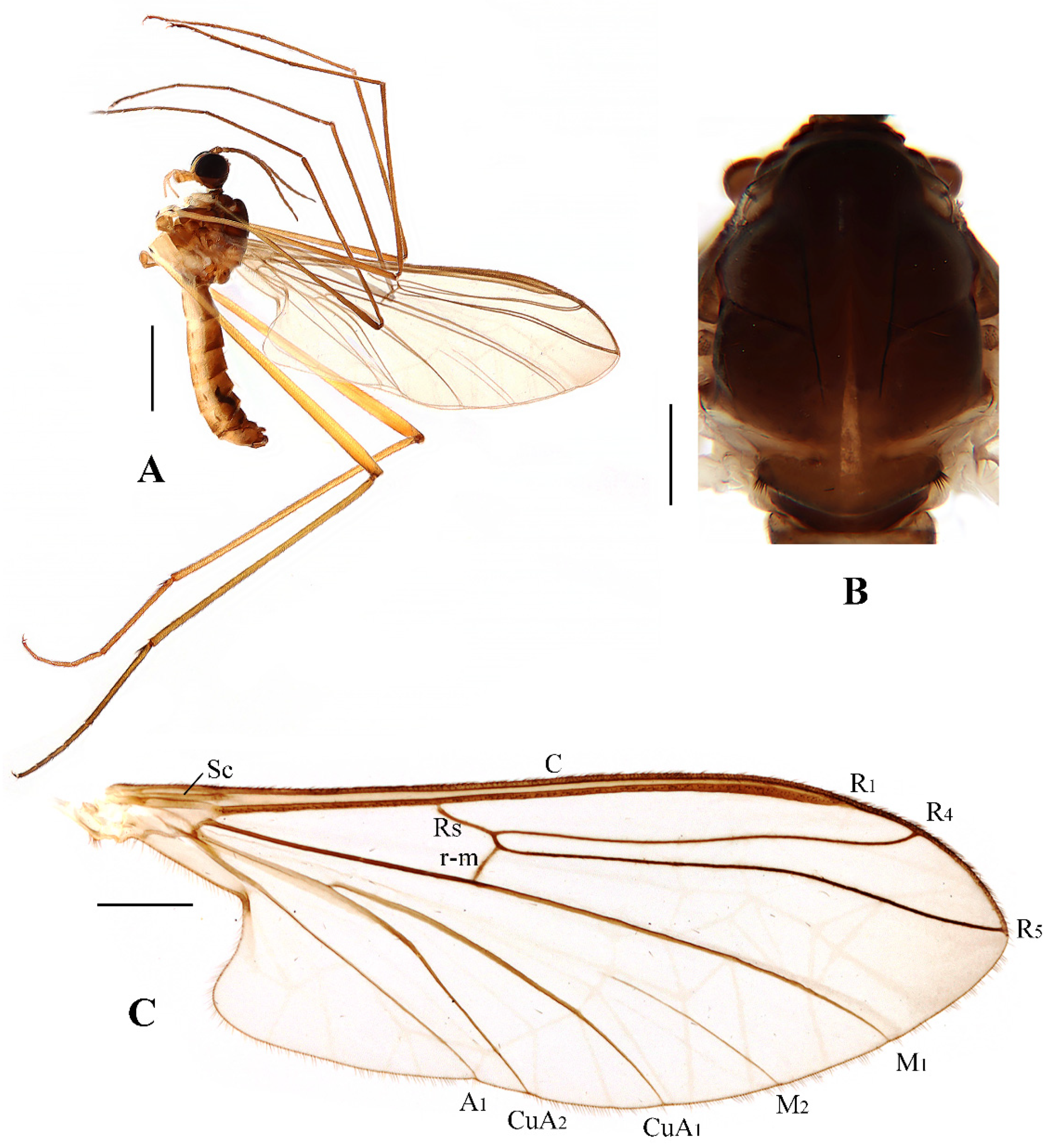 Insects 13 00794 g002 550
