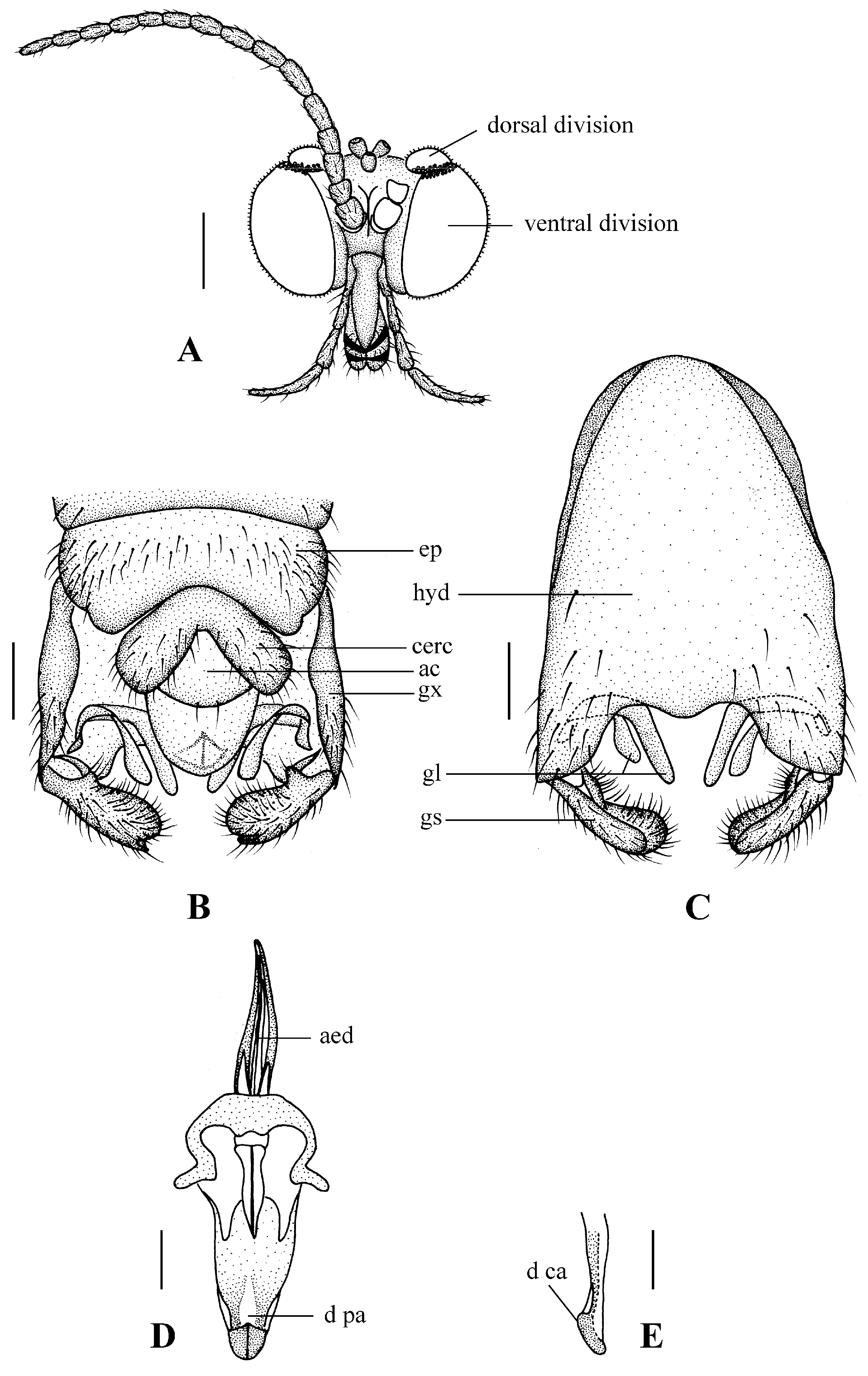 Insects 13 00794 g003 550